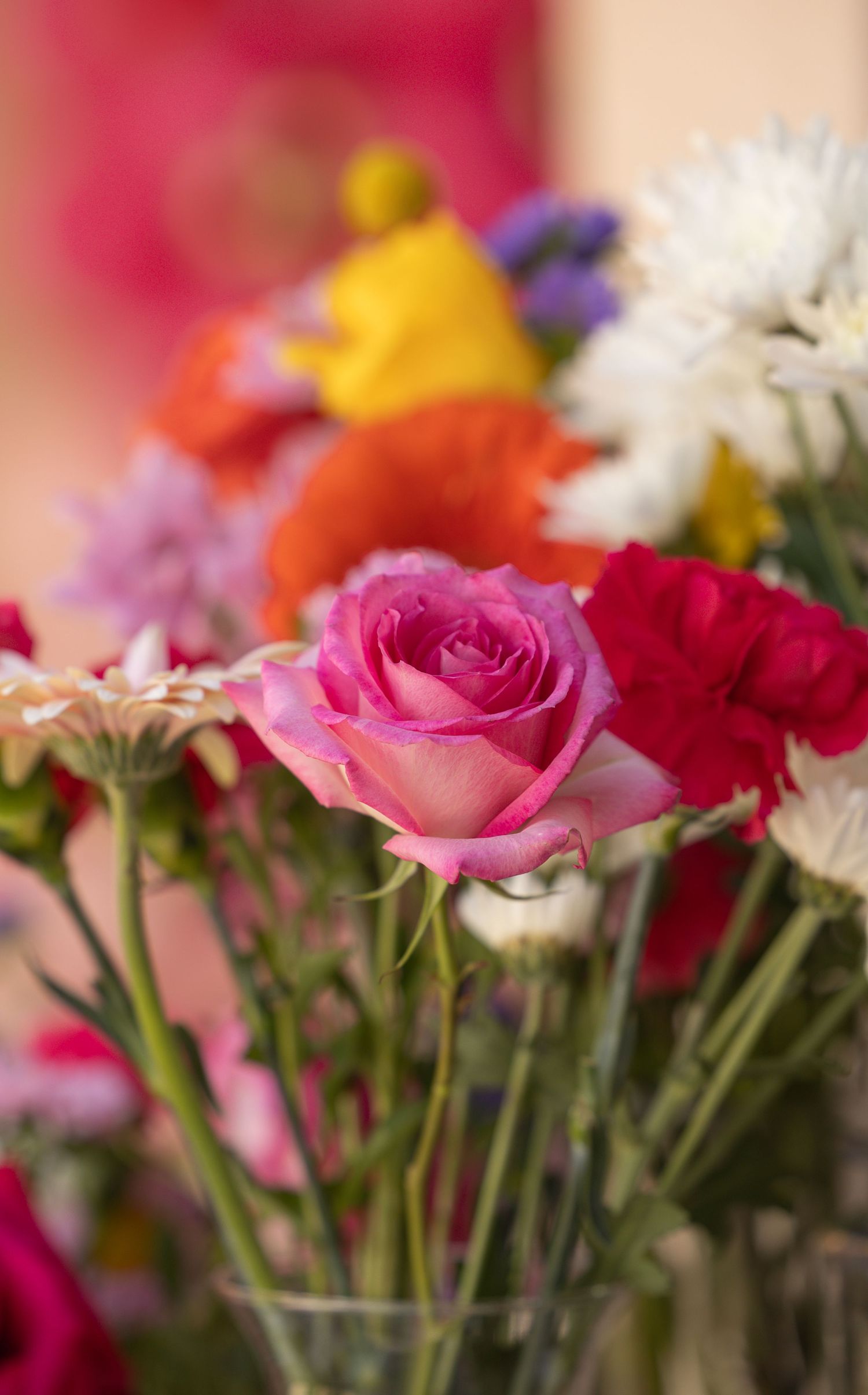 different colored flowers in vases