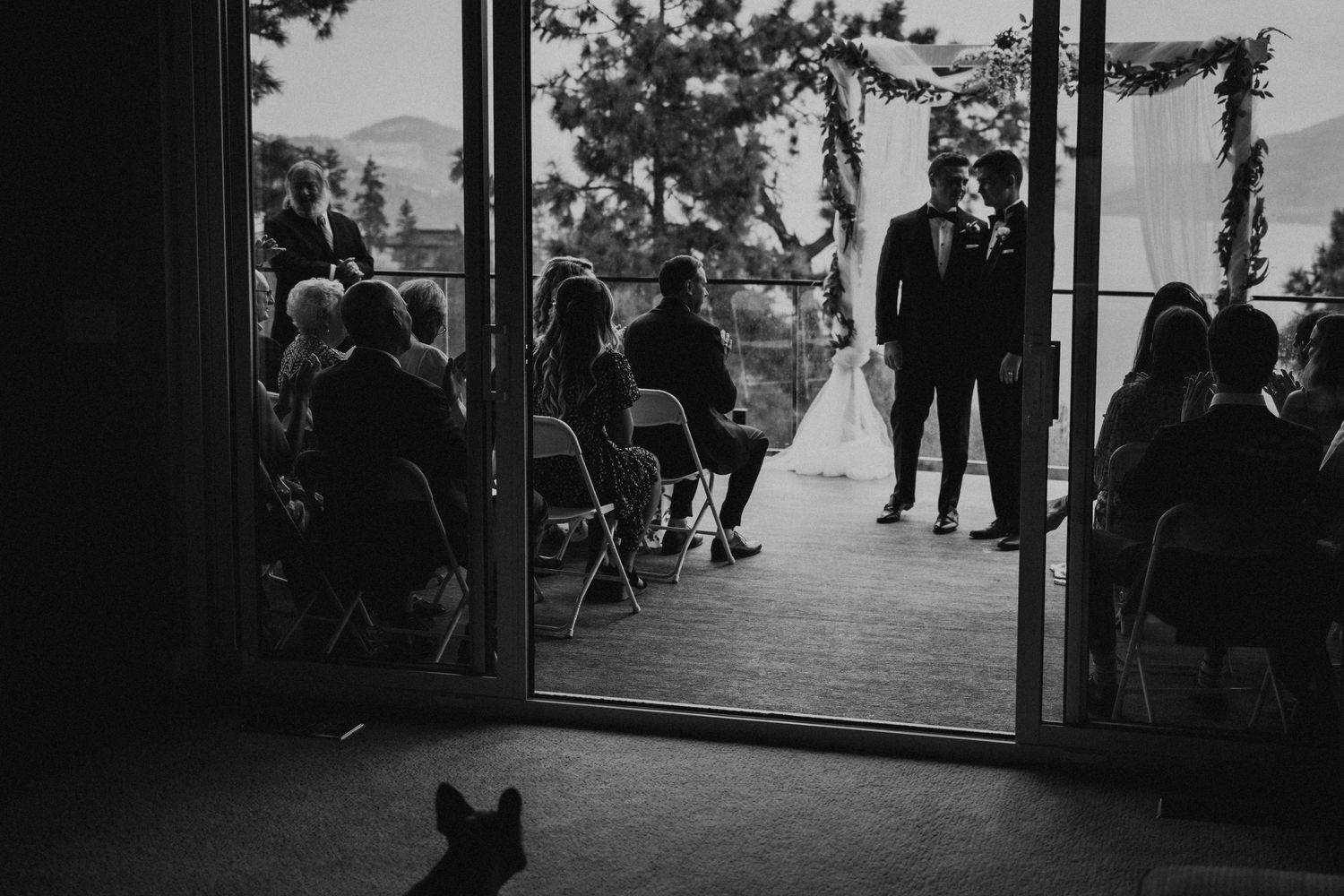 A black dog sits in silhouette against a bright window with people standing in the background.