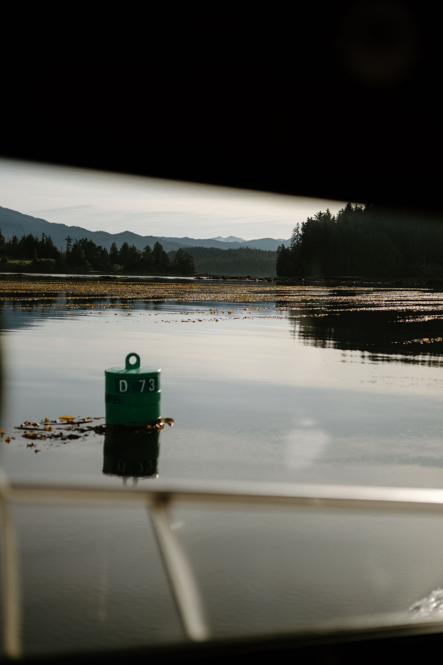 Green buoy marker floating in calm lake water with mountains visible in the distance at dusk.