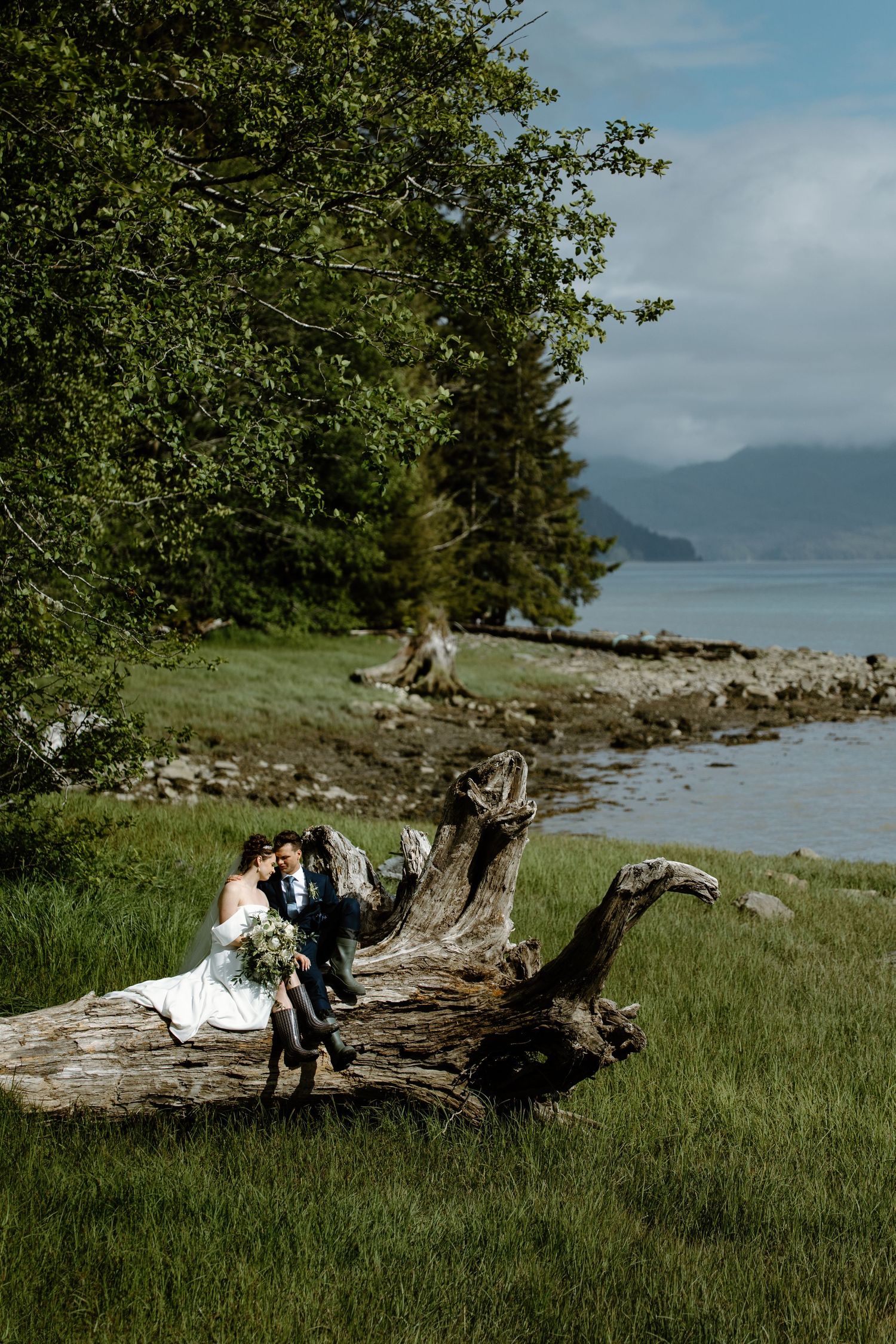 Scenic coastal landscape with driftwood log on grassy shore and mountains in background.