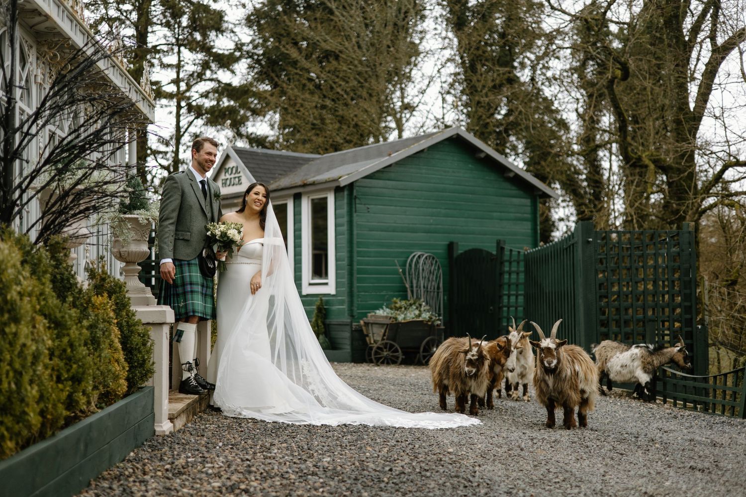 Bride and groom pose with highland goats outside a green shed at a Scottish wedding venue.