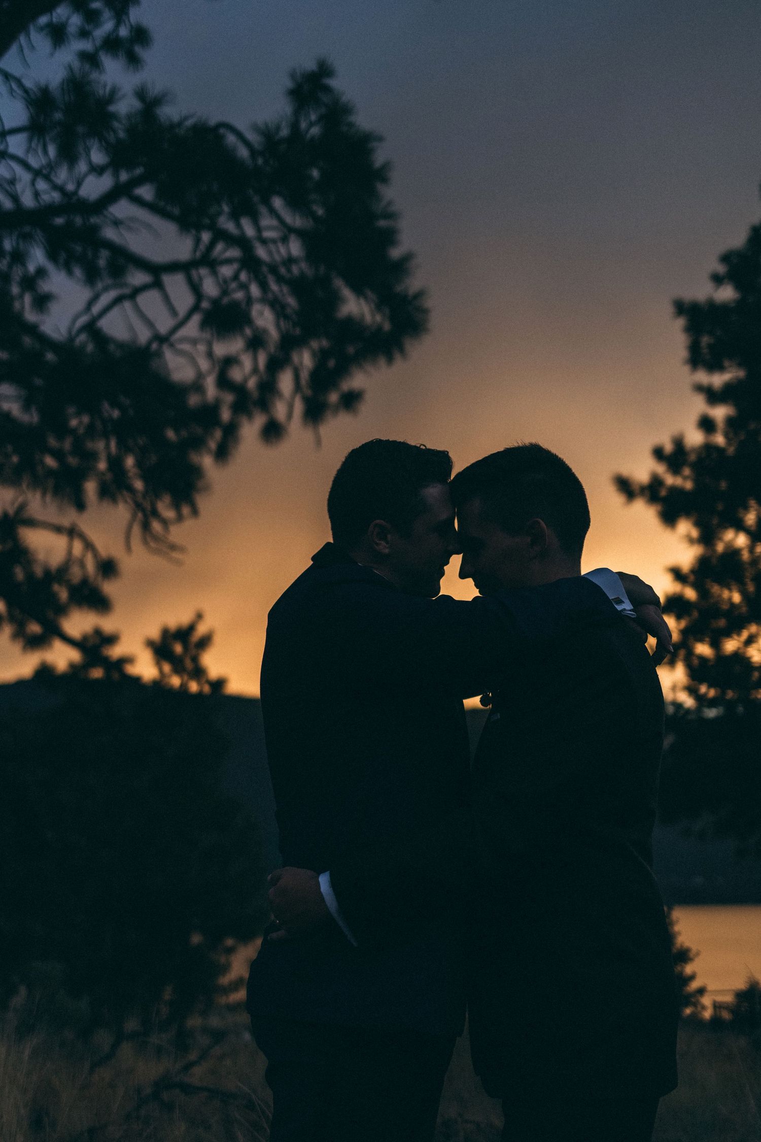 Silhouettes of a couple share an intimate moment against a moody sunset backdrop with tree branches framing the scene.