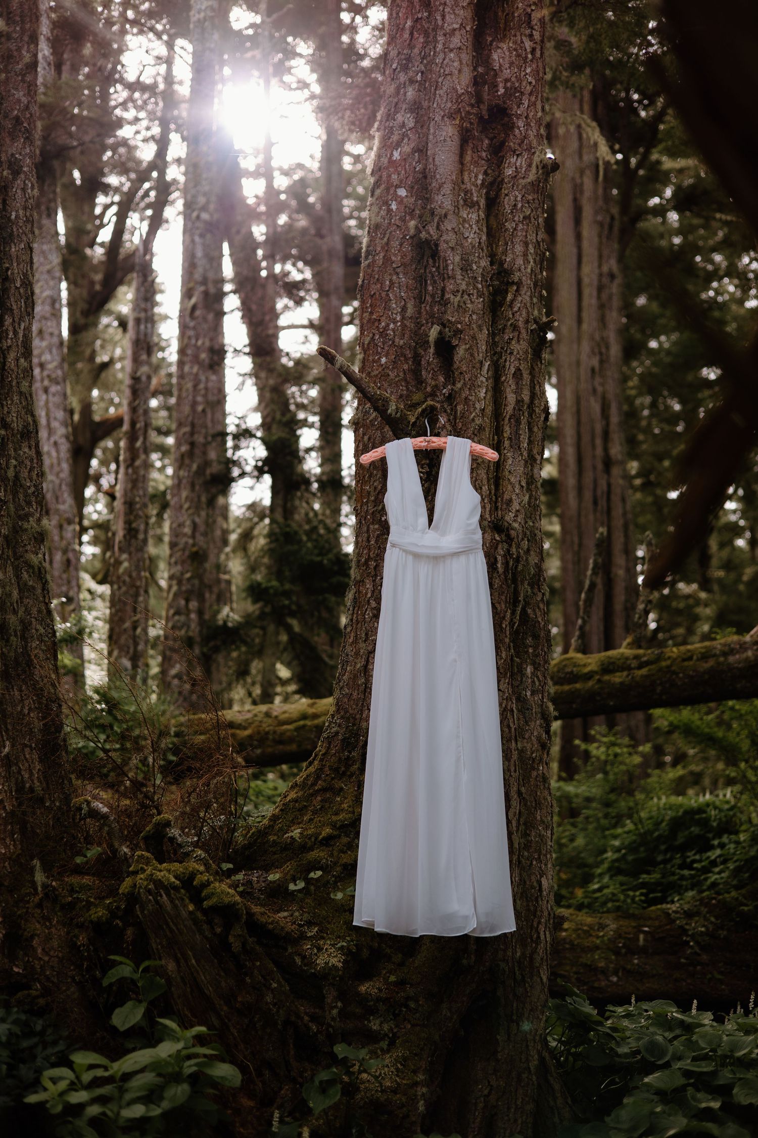 A white sleeveless wedding dress hangs ethereally among tall pine trees in a forest setting.