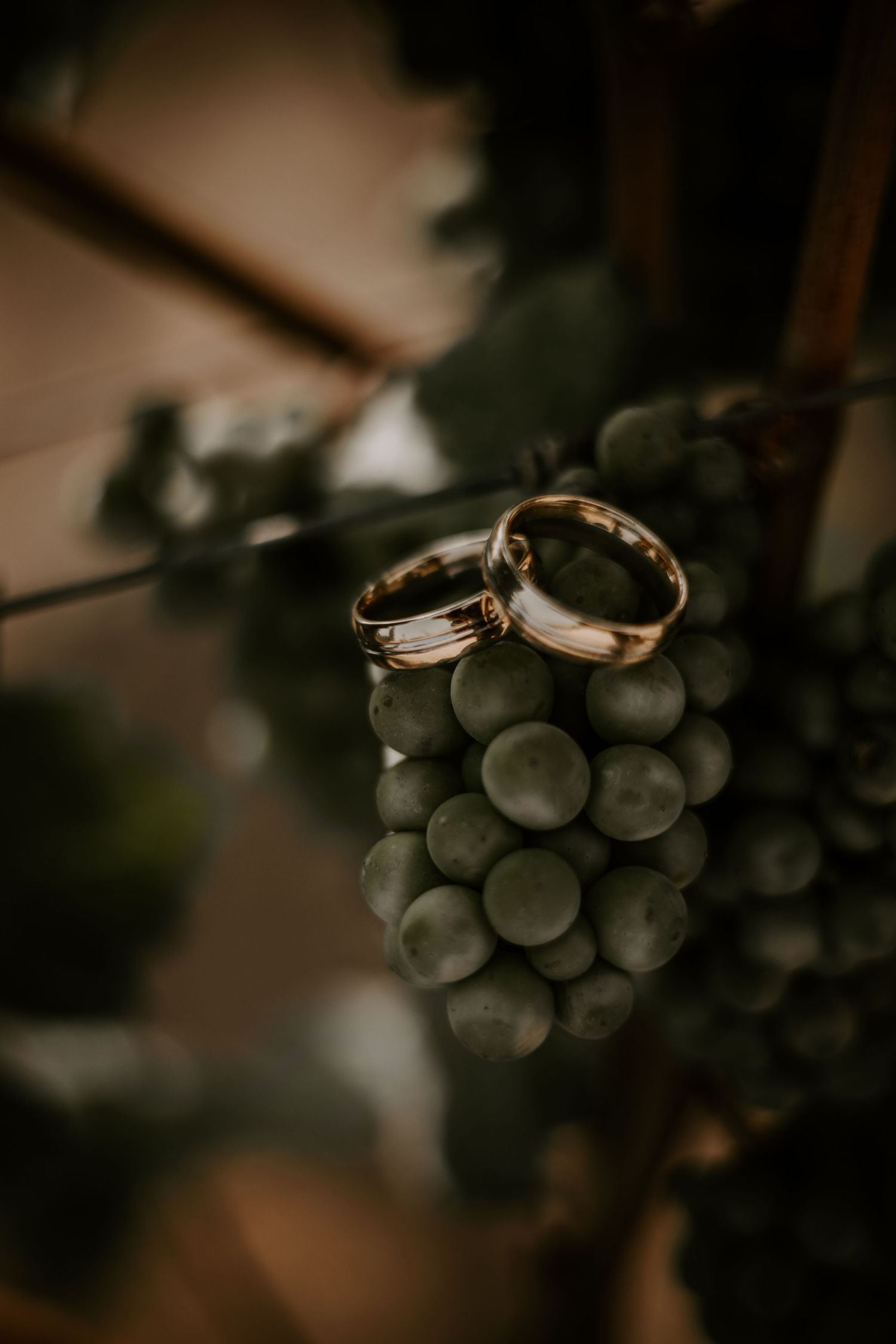 Wedding rings artistically placed on a cluster of fresh grapes in a vineyard setting.