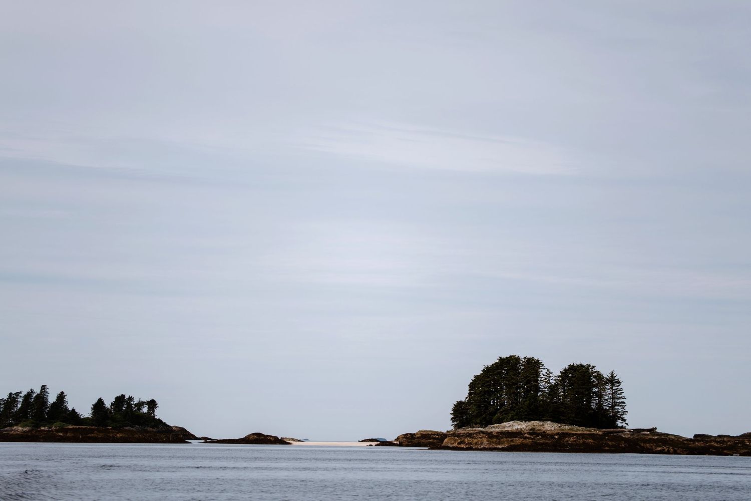 Tranquil coastal landscape with evergreen trees and rocky shoreline under overcast sky.