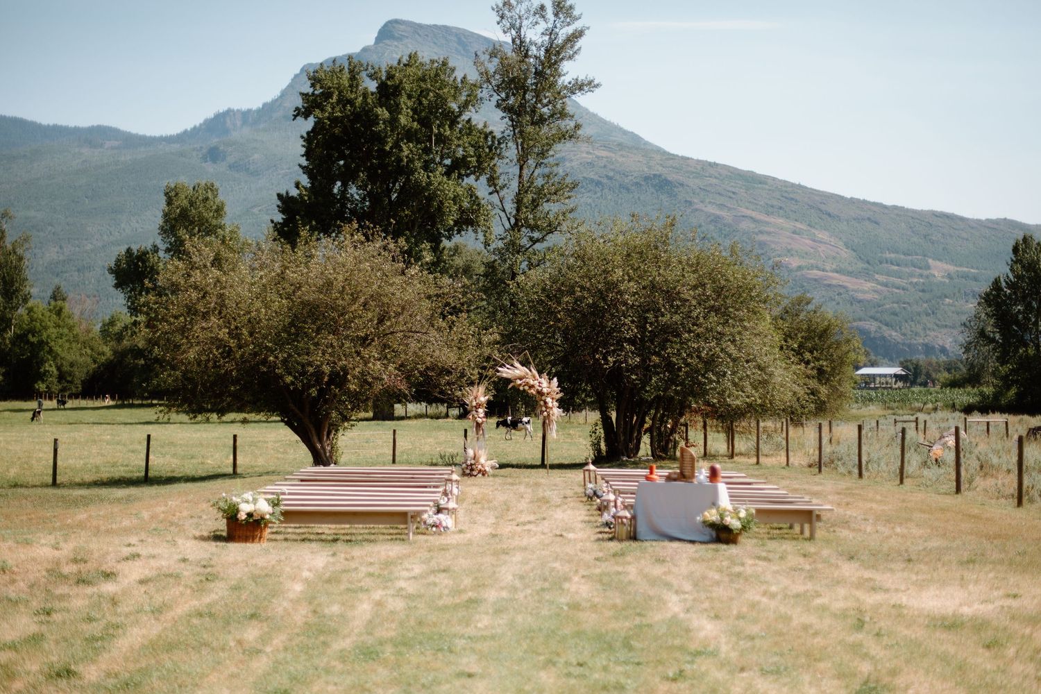 A panoramic view of a mountain landscape with scattered trees and benches in a grassy field on a sunny day.