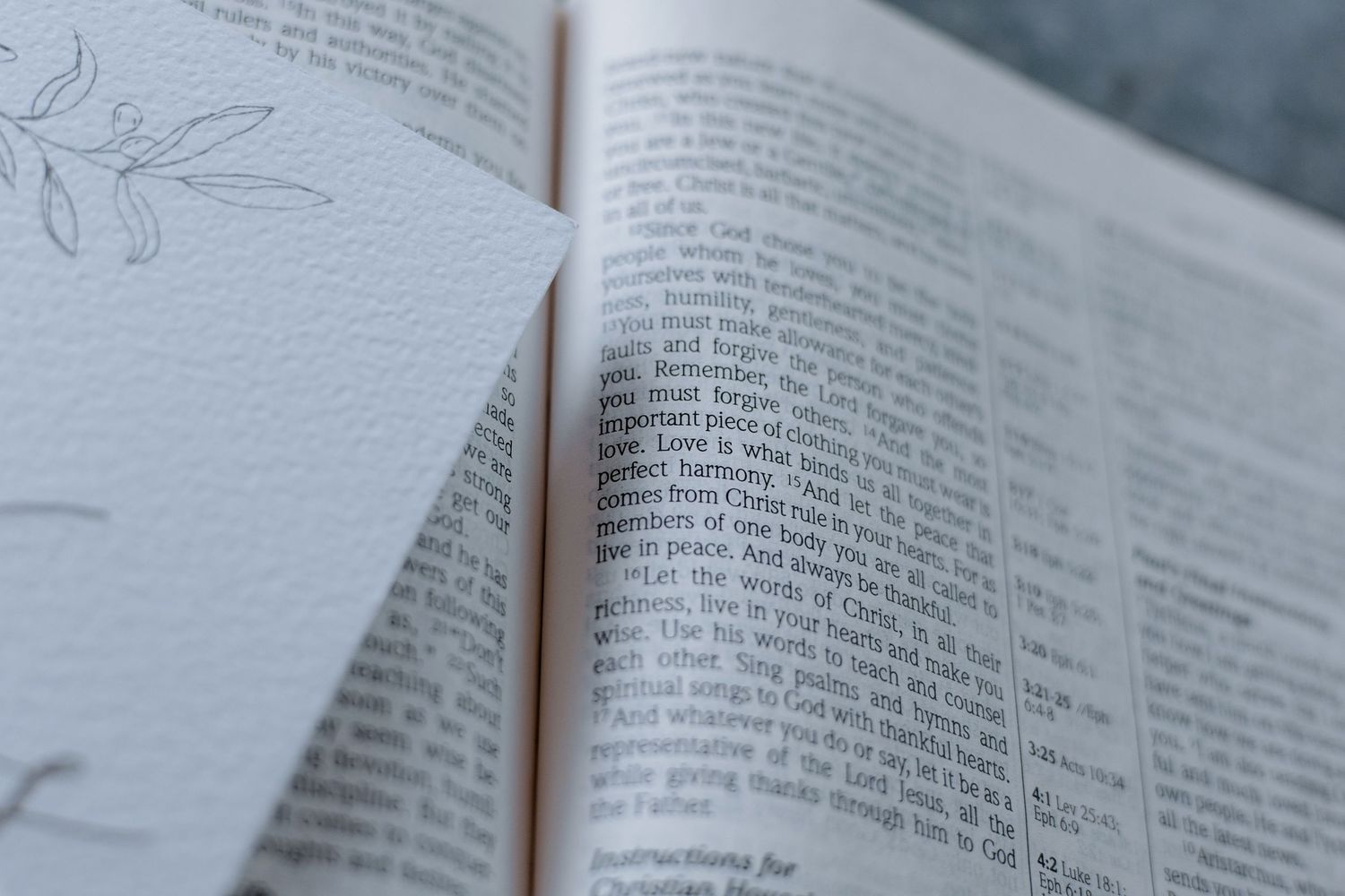 Open book pages with text visible in soft natural lighting.
