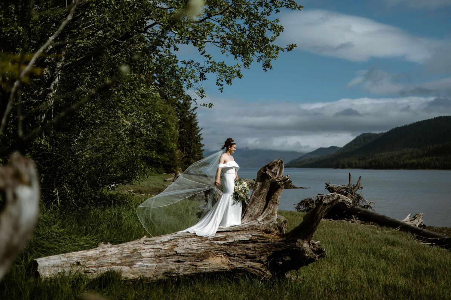 A bride's veil flows in the wind as she stands on a fallen log by the water.