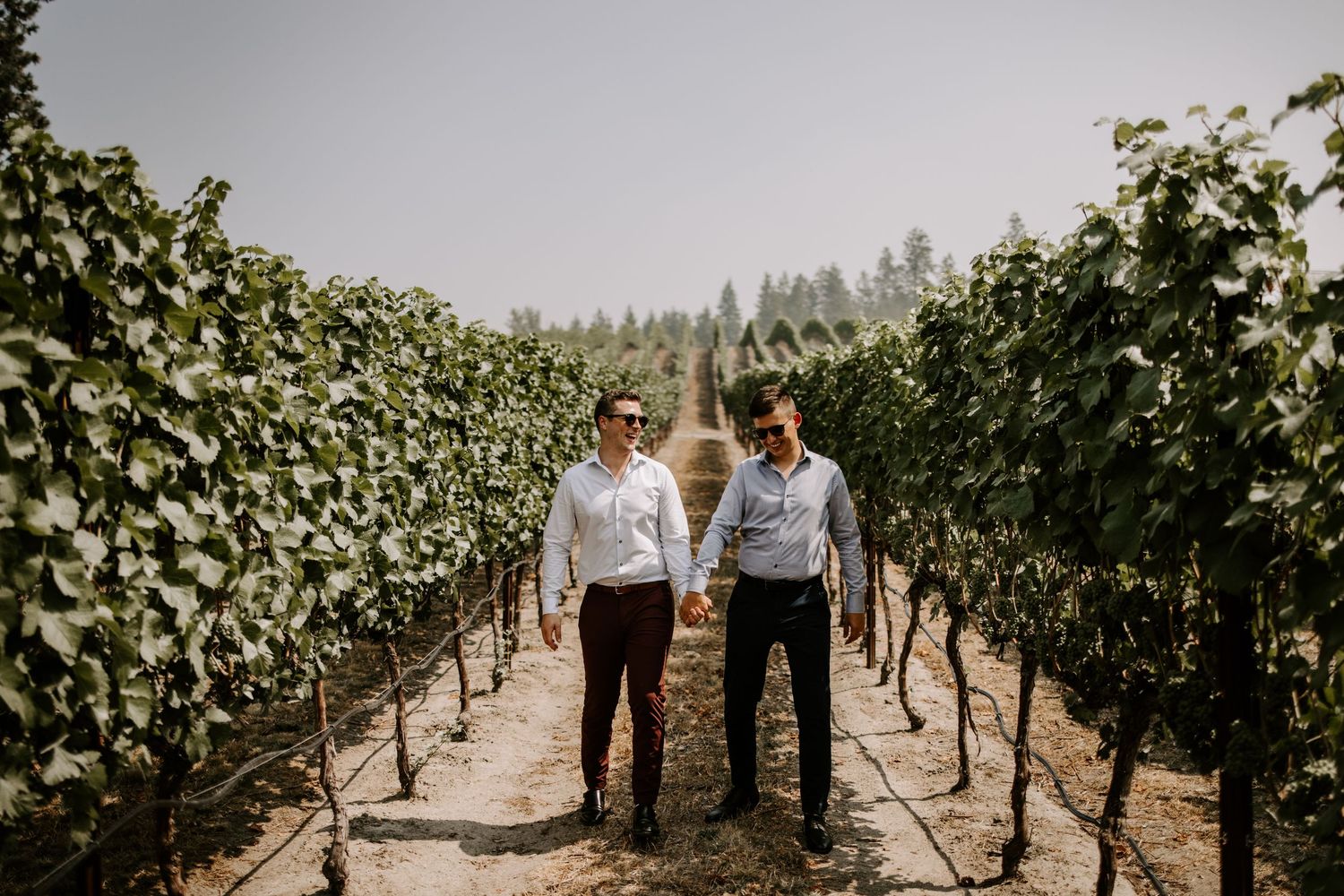 Two people walking between rows of grapevines in a scenic vineyard.