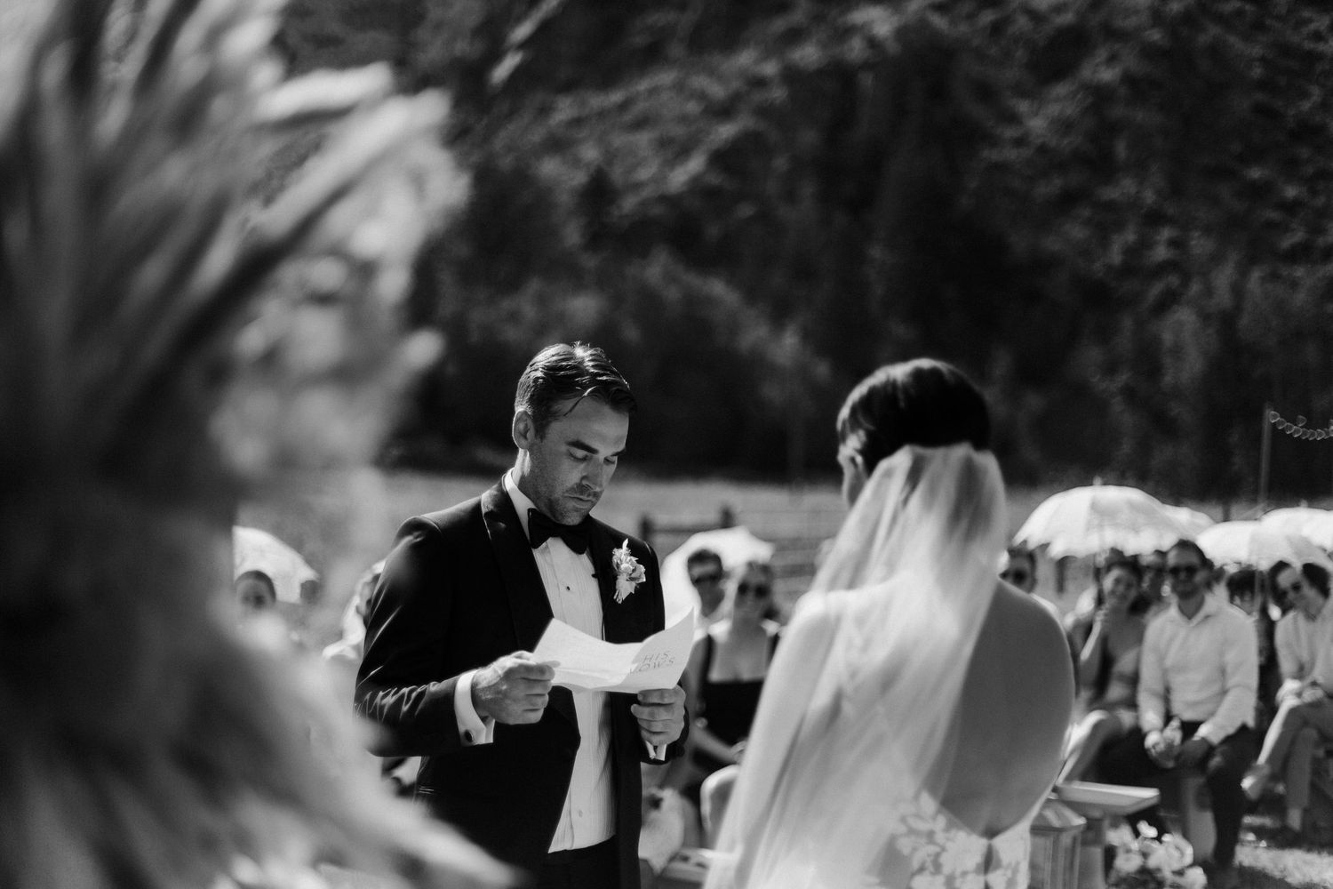 Wedding ceremony guests gathered outdoors under natural lighting.