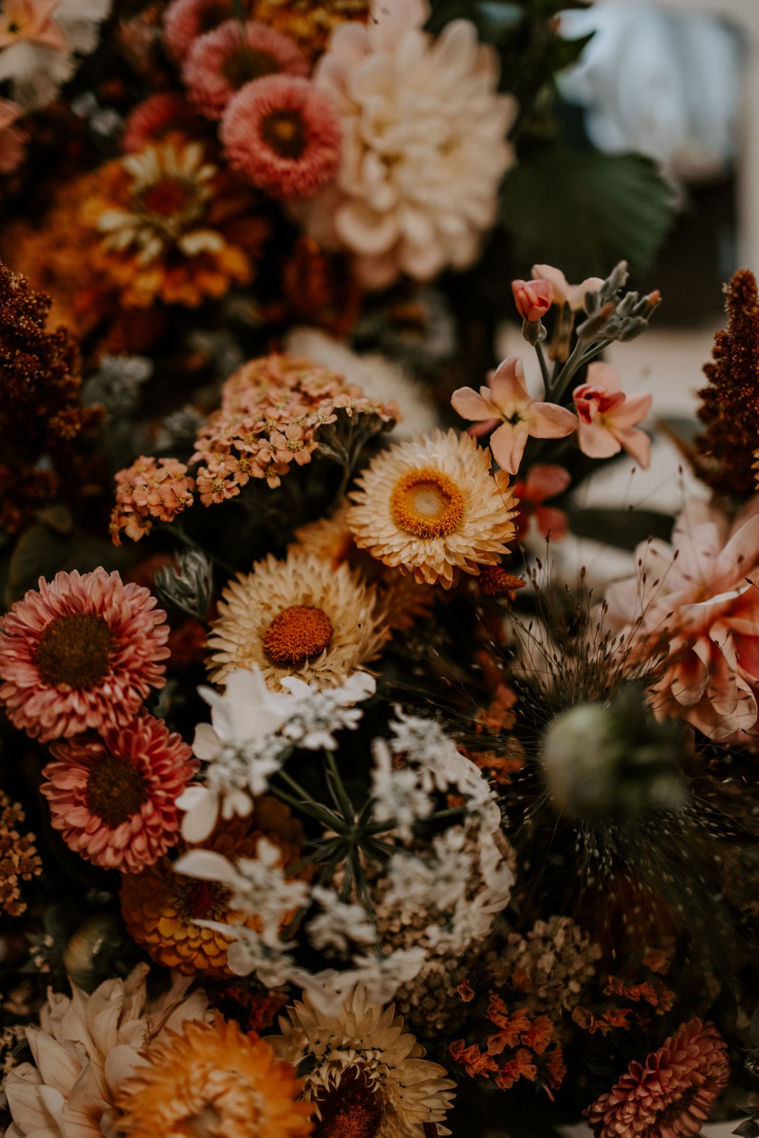 Romantic floral arrangement featuring coral and peach-colored blooms in moody lighting.