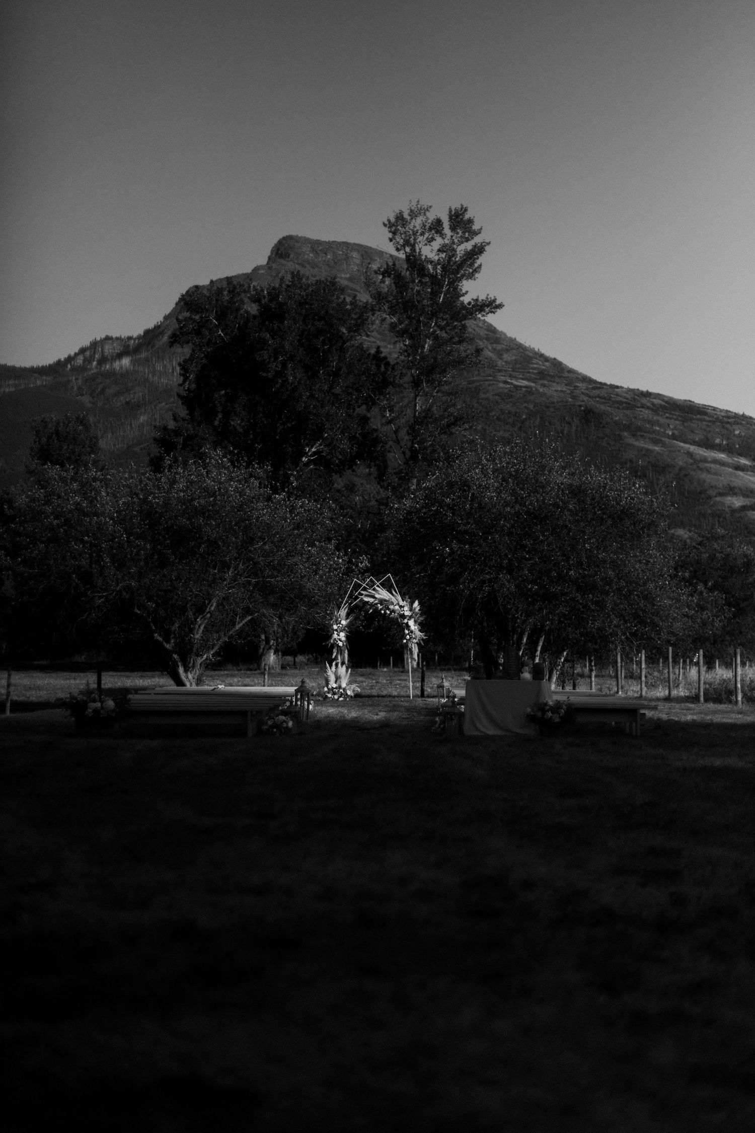Panoramic black and white landscape view of mountains and trees in silhouette against a dark sky.