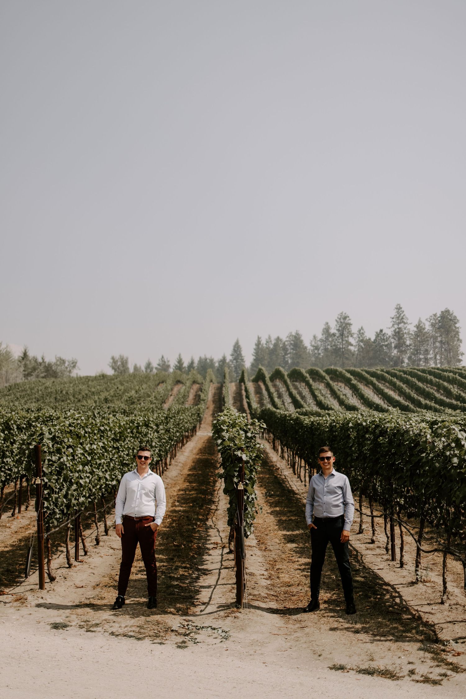 Two people stand between rows of grapevines at a scenic vineyard on a sunny day.