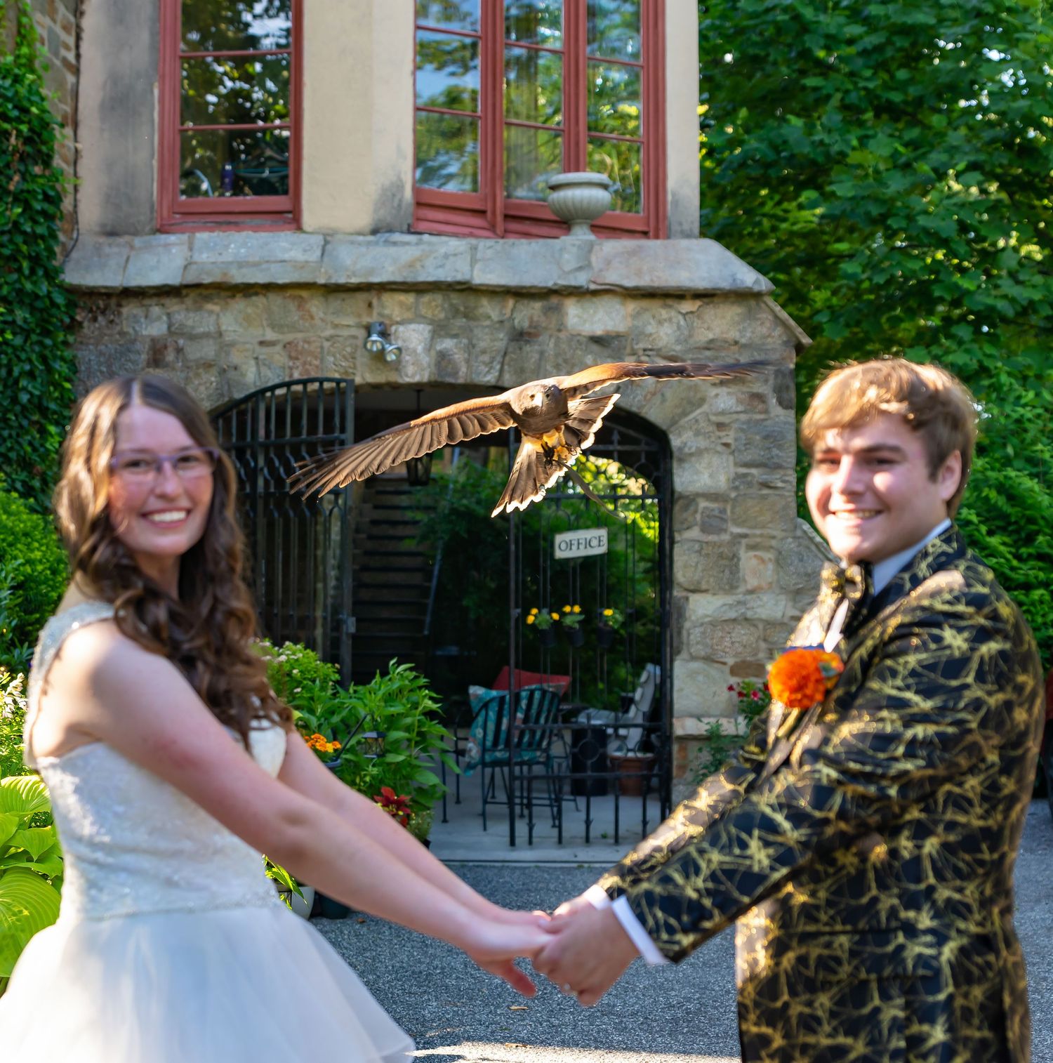 A series of photos showing a person holding an owl at an outdoor event, with trees and stone buildings visible.