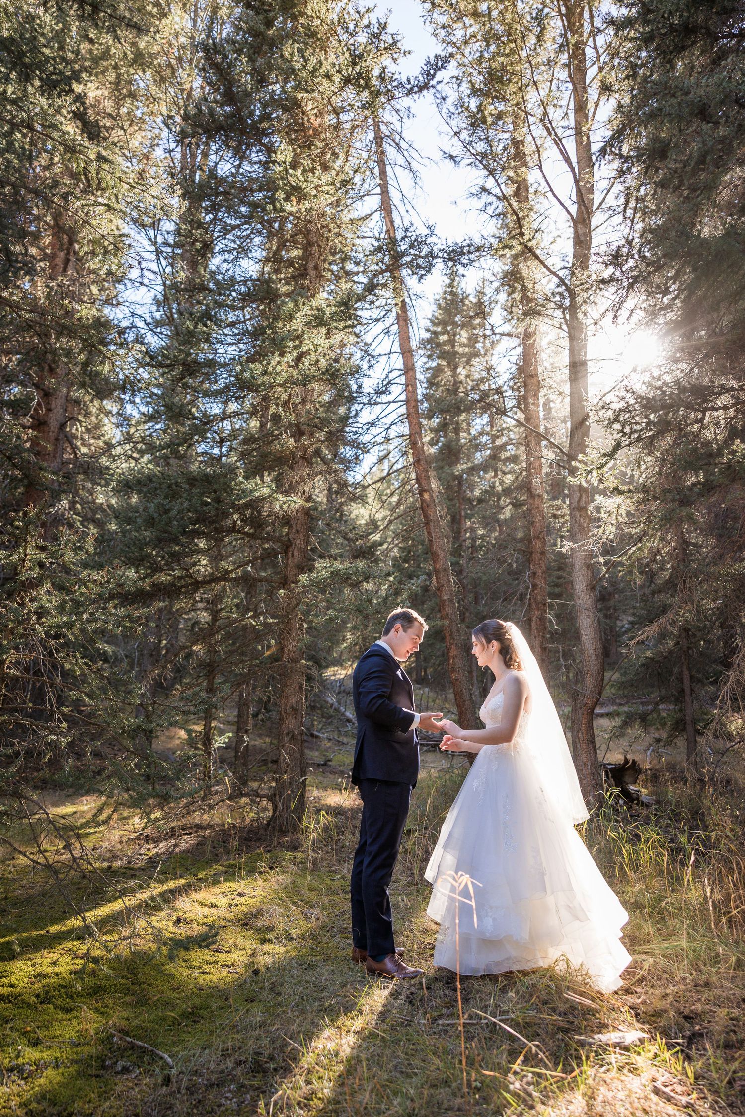 A couple in wedding attire stands together in a sunlit forest surrounded by tall pine trees and dappled light.