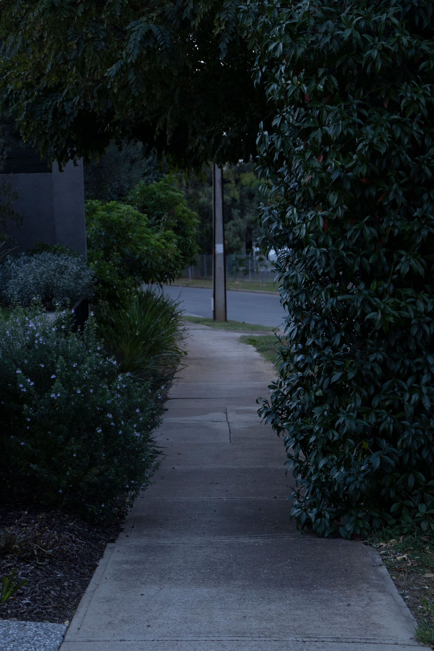 Walkway