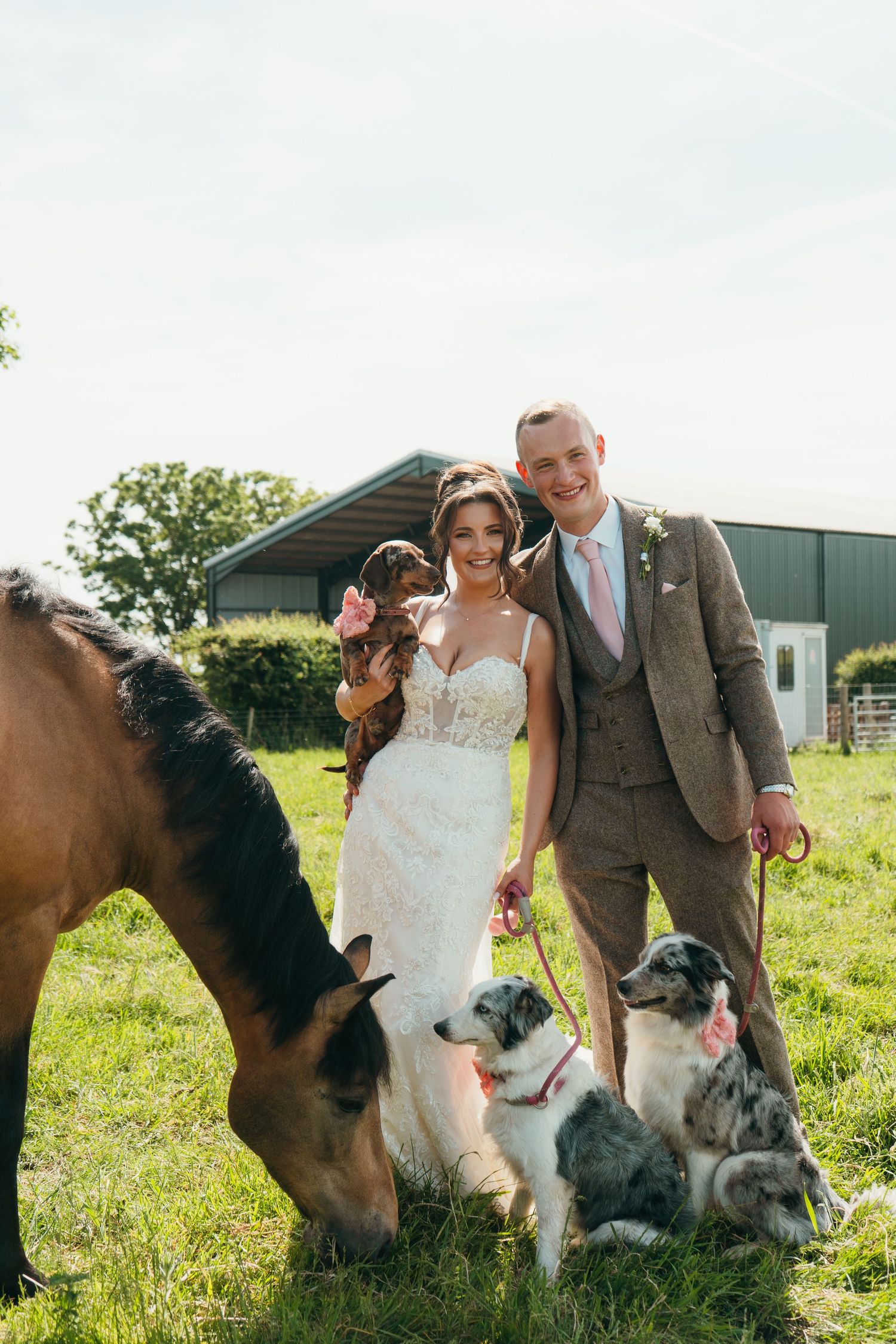Bride and groom celebrating with their dogs and horse on their wedding day, captured by luxury wedding content creator Unveil by Hollie.