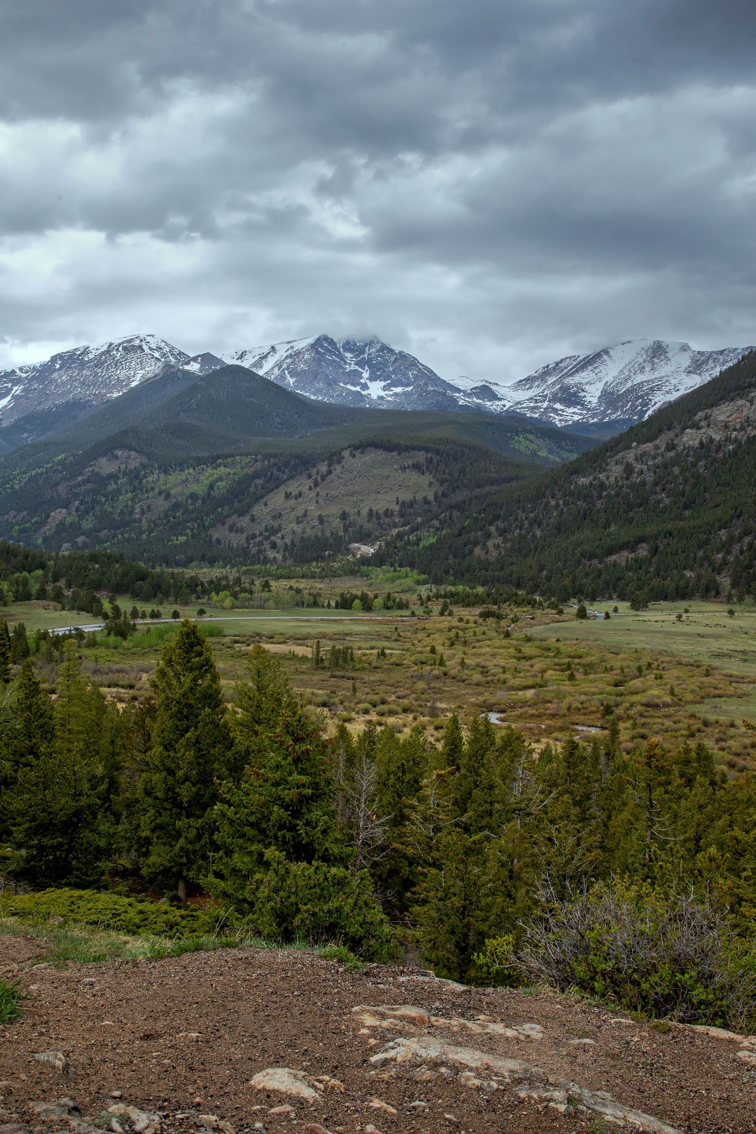 Panoramic view of snow-capped Rocky Mountain range with green valley and evergreen trees.