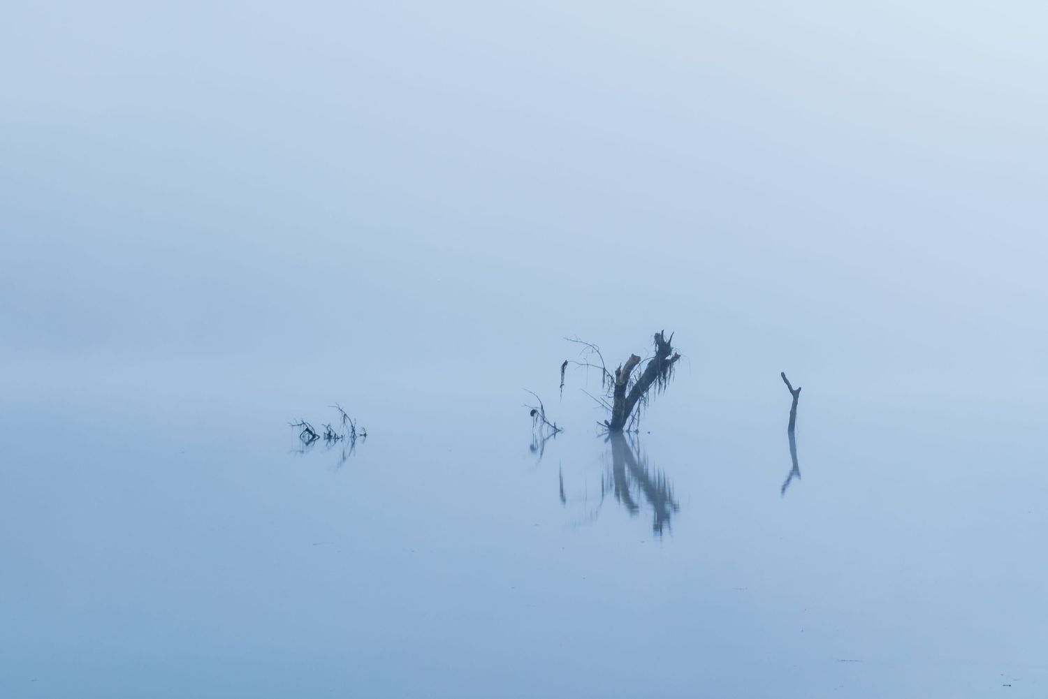 Dead tree branches emerge from a misty, glassy lake reflecting in calm blue waters on a foggy morning.