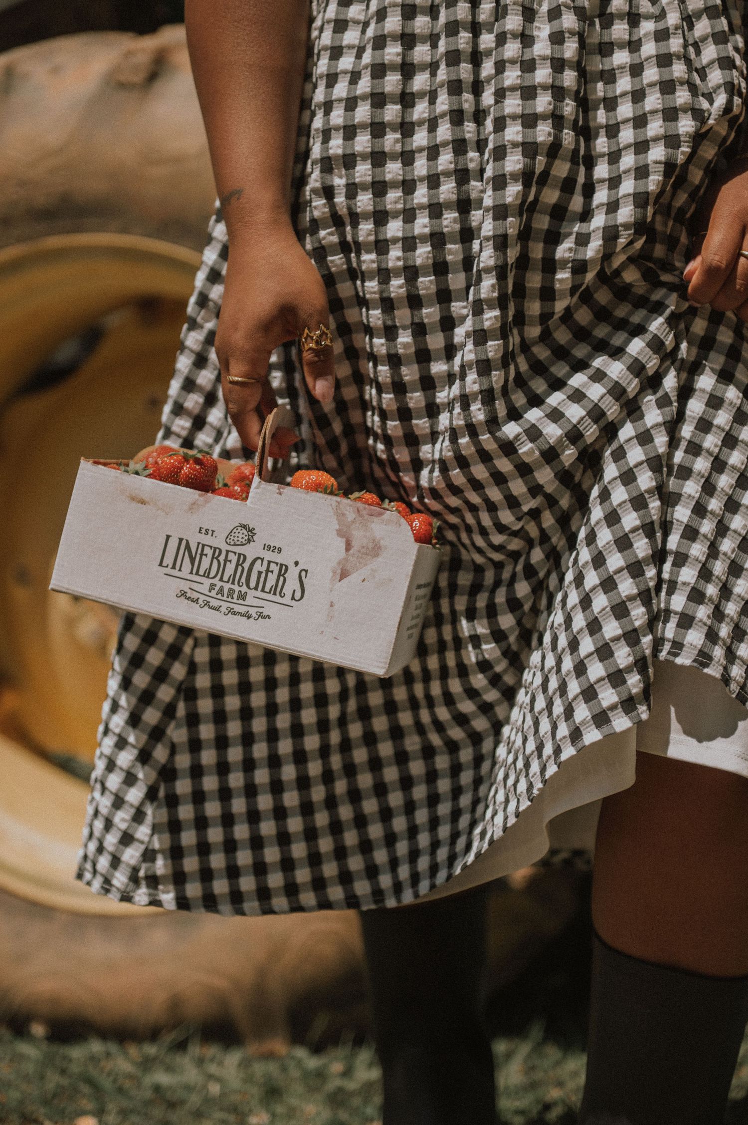 Woman in gingham dress holding Lineberger's Farm strawberry box near a tractor tire.