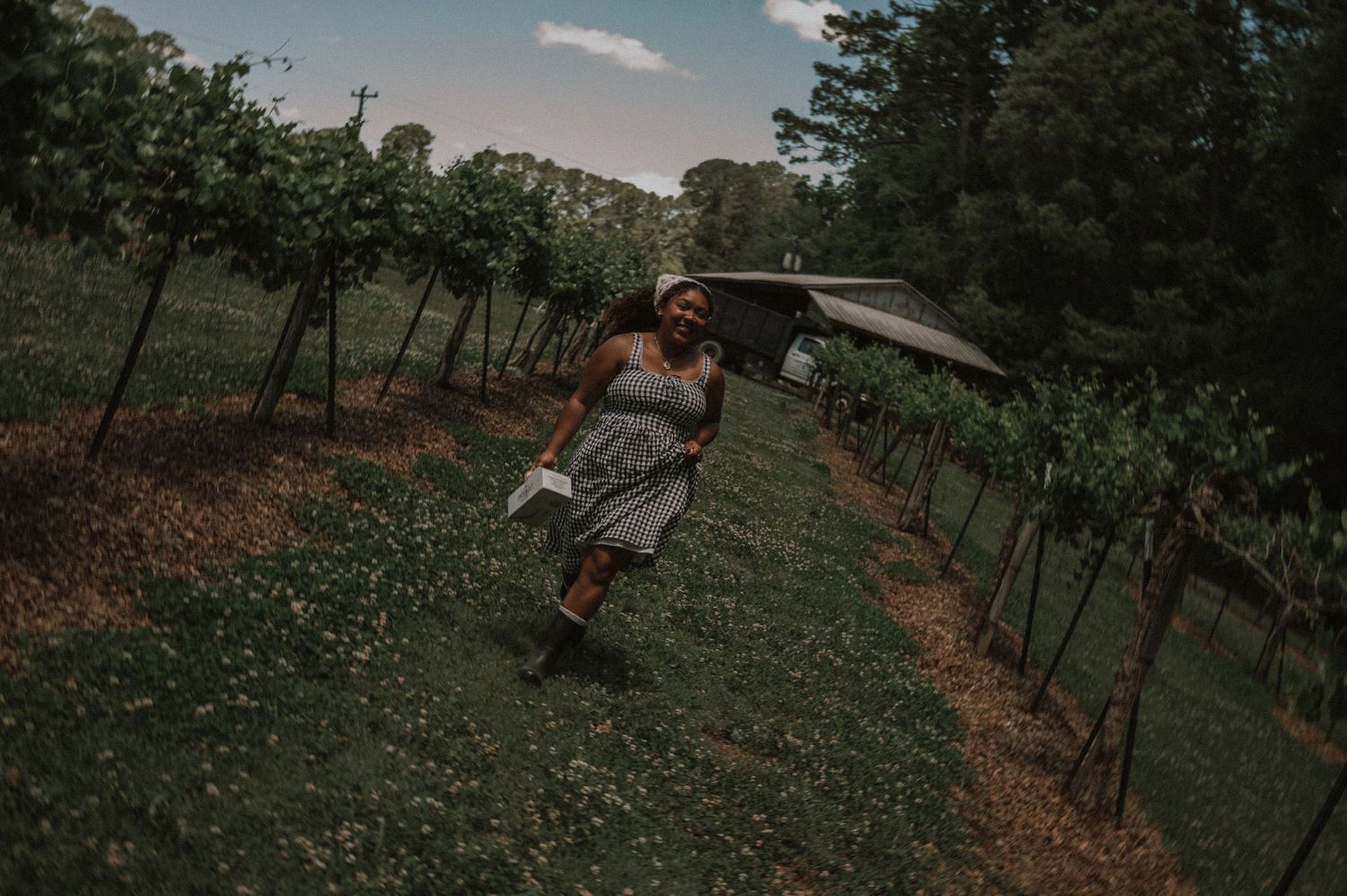 Woman in gray dress walking through lush vineyard rows with a rustic barn in background on a cloudy day.