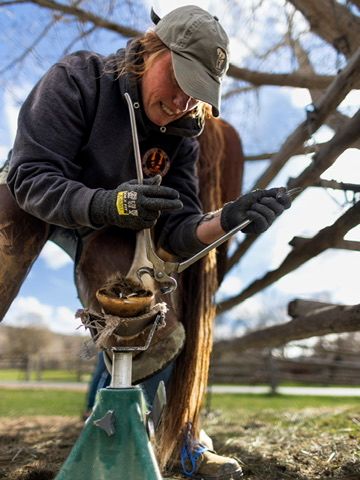 Female farrier trimming and shoeing a horse hoof outdoors using professional tools.