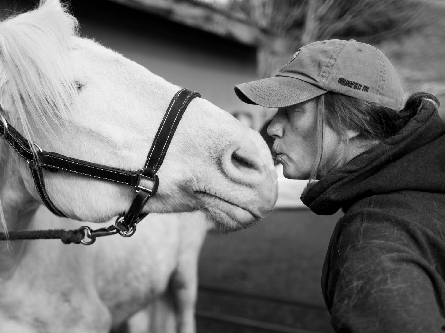 Black and white photo of a woman tenderly kissing a white horse on the nose outdoors.