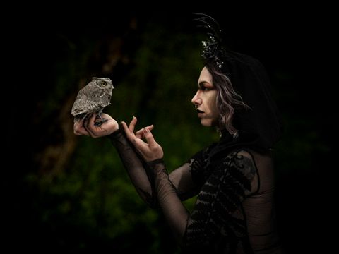 Gothic woman in black outfit holds small owl in dramatic dark forest fine art portrait.