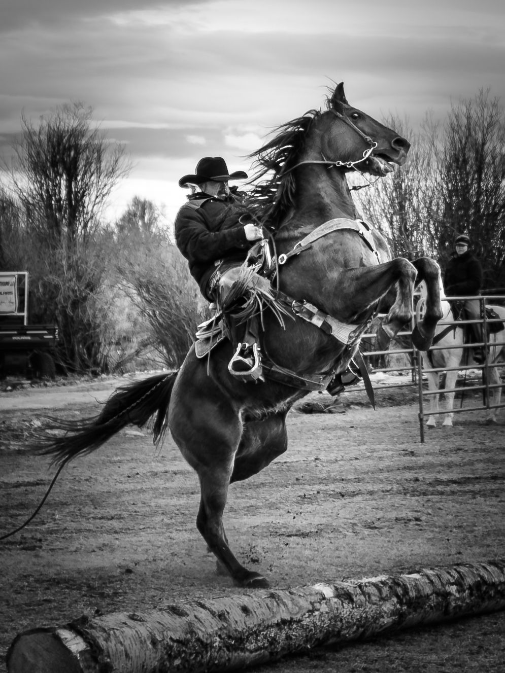 Black and white photo of a cowboy on a rearing horse jumping over a log obstacle.