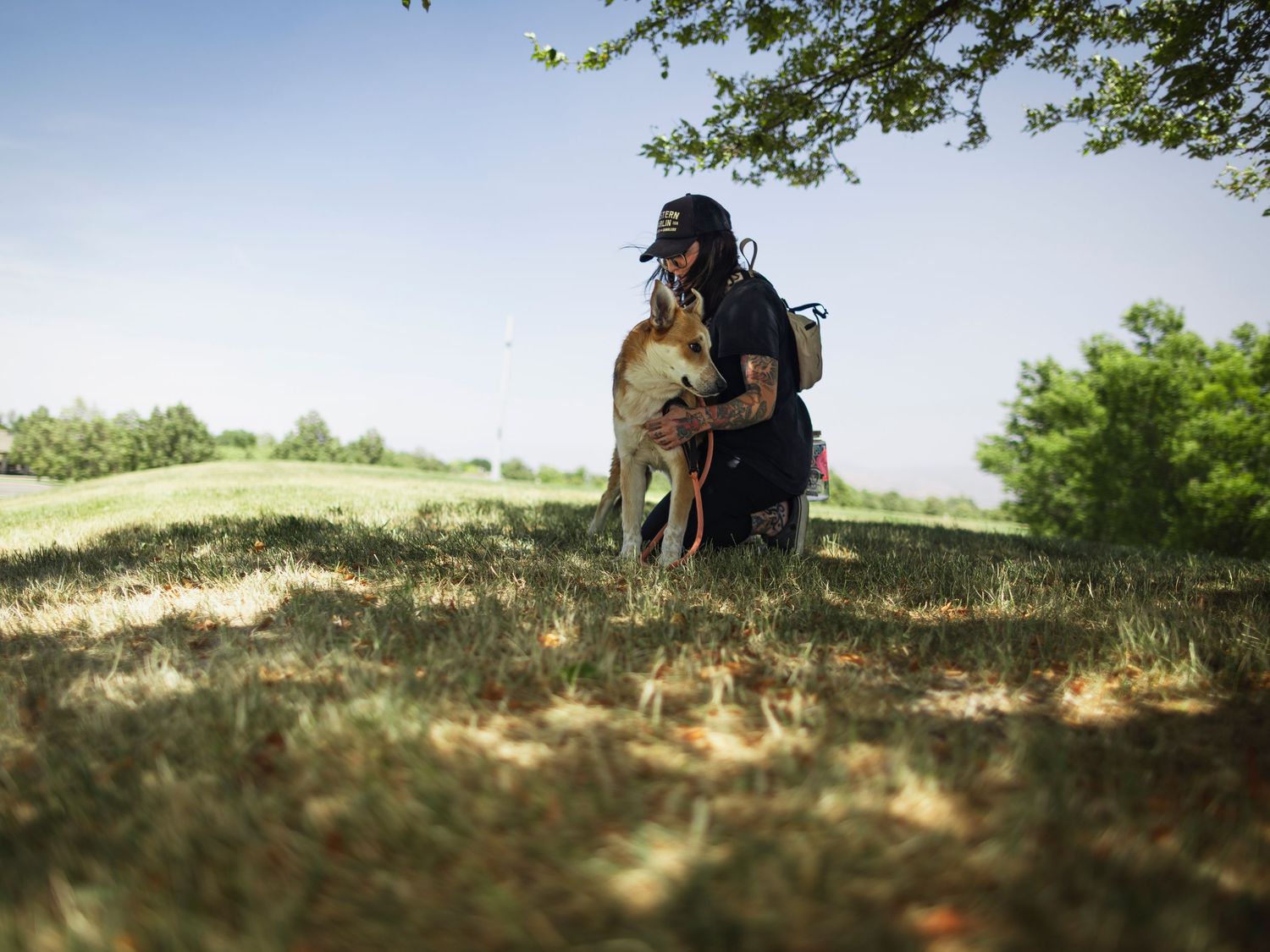 Person kneeling and hugging a tan dog on grassy hill under shady tree.
