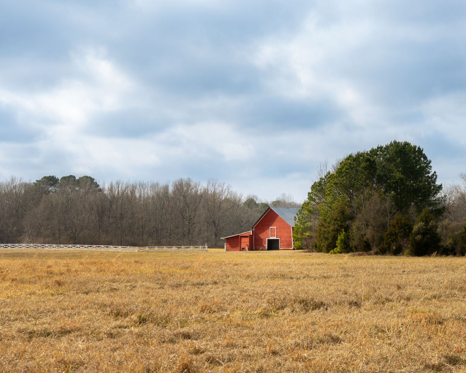 red barn golden field white fence cloudy sky Carolina farm landscape pastoral fine art print