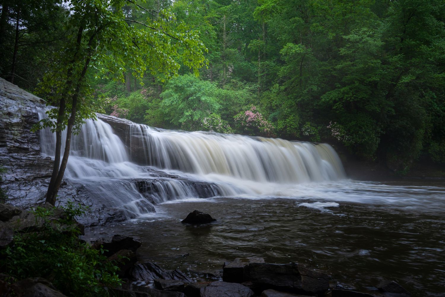 Hooker Falls long exposure waterfall rhododendron blooms DuPont State Forest North Carolina fine art print