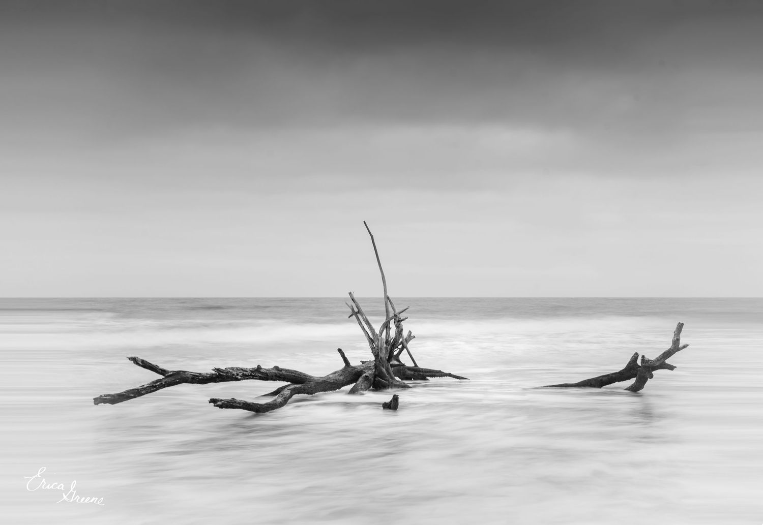 black and white minimalist driftwood long exposure silky ocean horizon Carolina coast fine art print