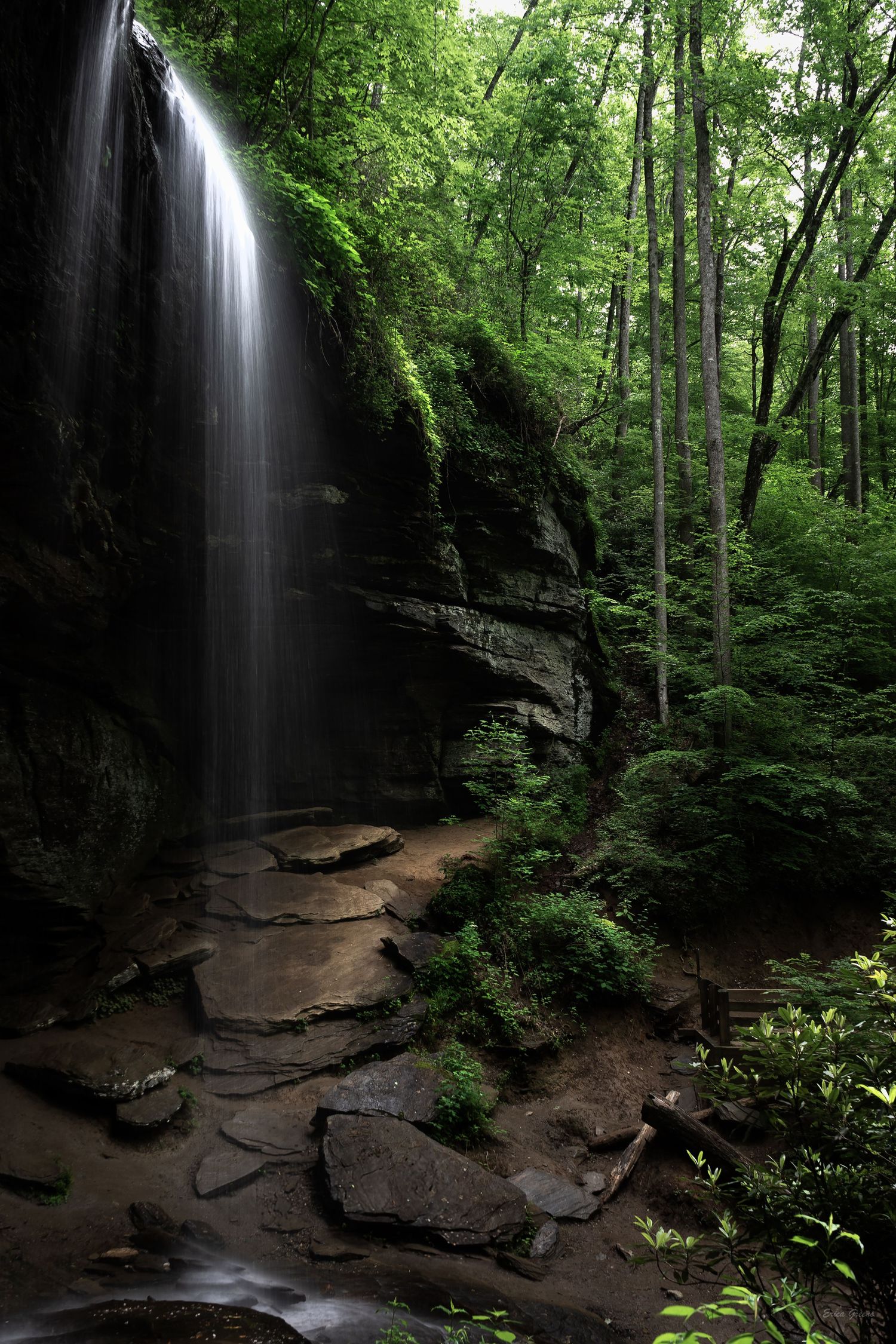 Moore Cove Falls long exposure waterfall lush green forest DuPont State Recreational Forest North Carolina fine art print