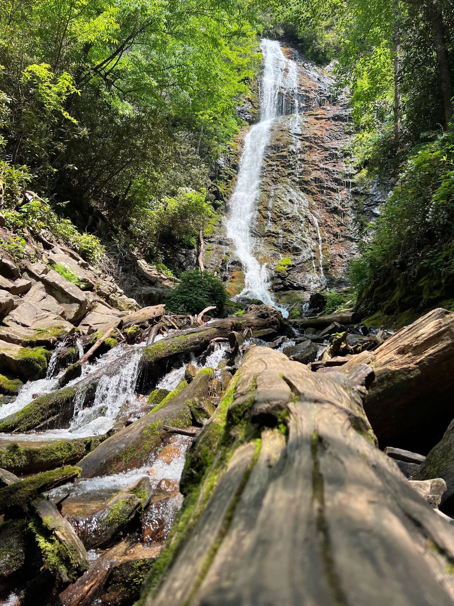 Mingo Falls tall waterfall mossy logs rocky stream Cherokee North Carolina nature fine art print