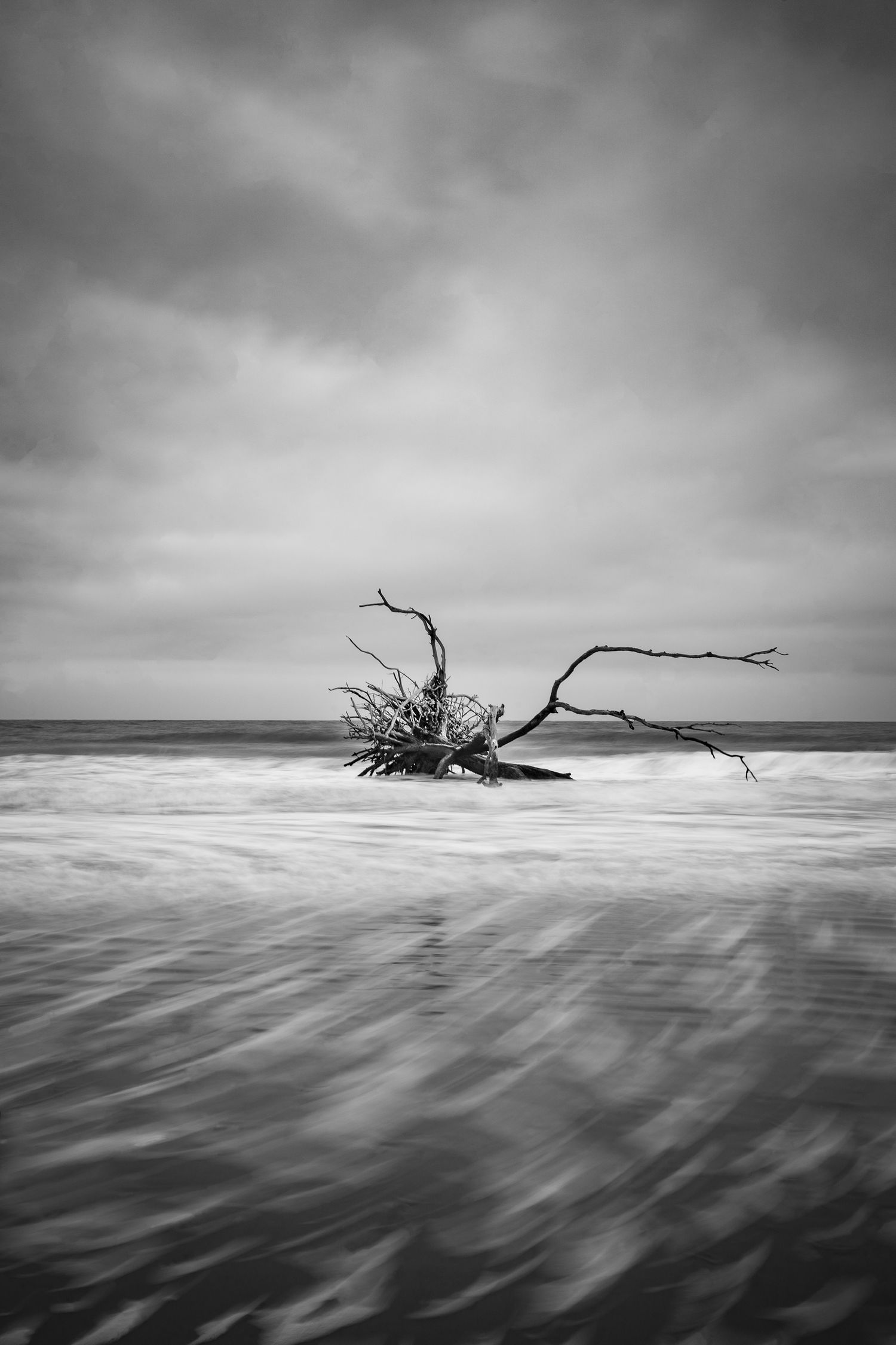 black and white driftwood tree long exposure ocean waves Edisto Beach State Park South Carolina fine art print