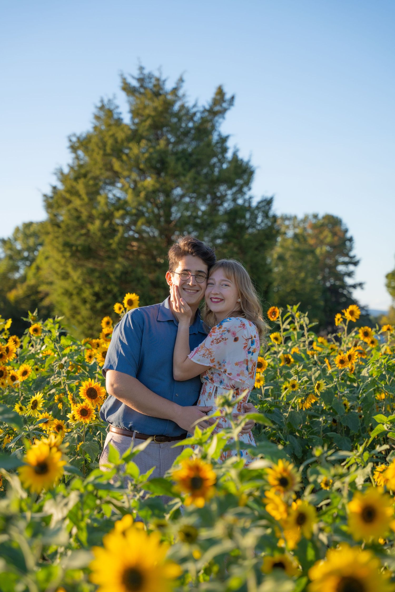 Engaged couple embracing among tall sunflowers