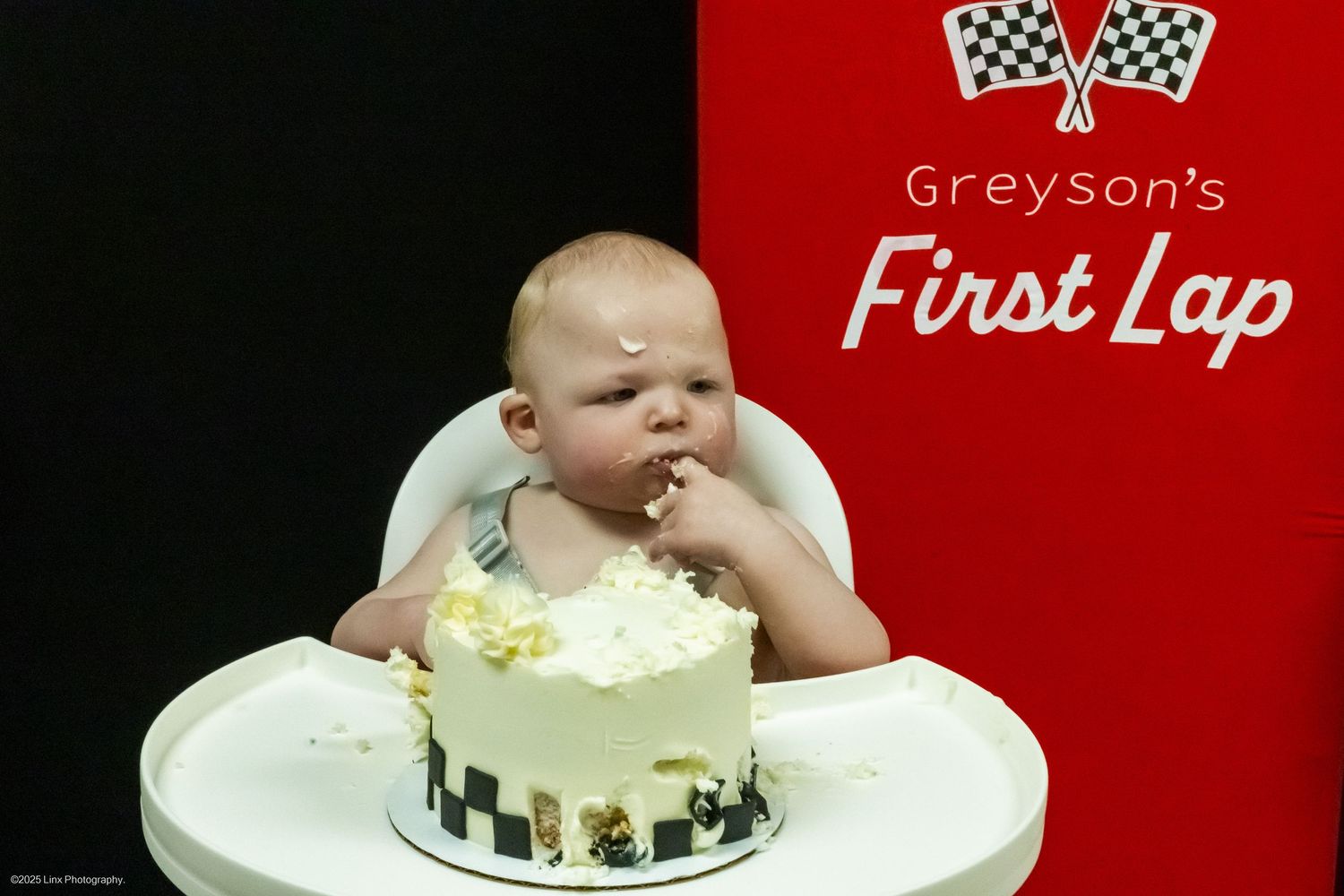 Professional Baby or Puppy Cake Smash or Cup Cake Smash by Linx Photography in Dundalk Ontario