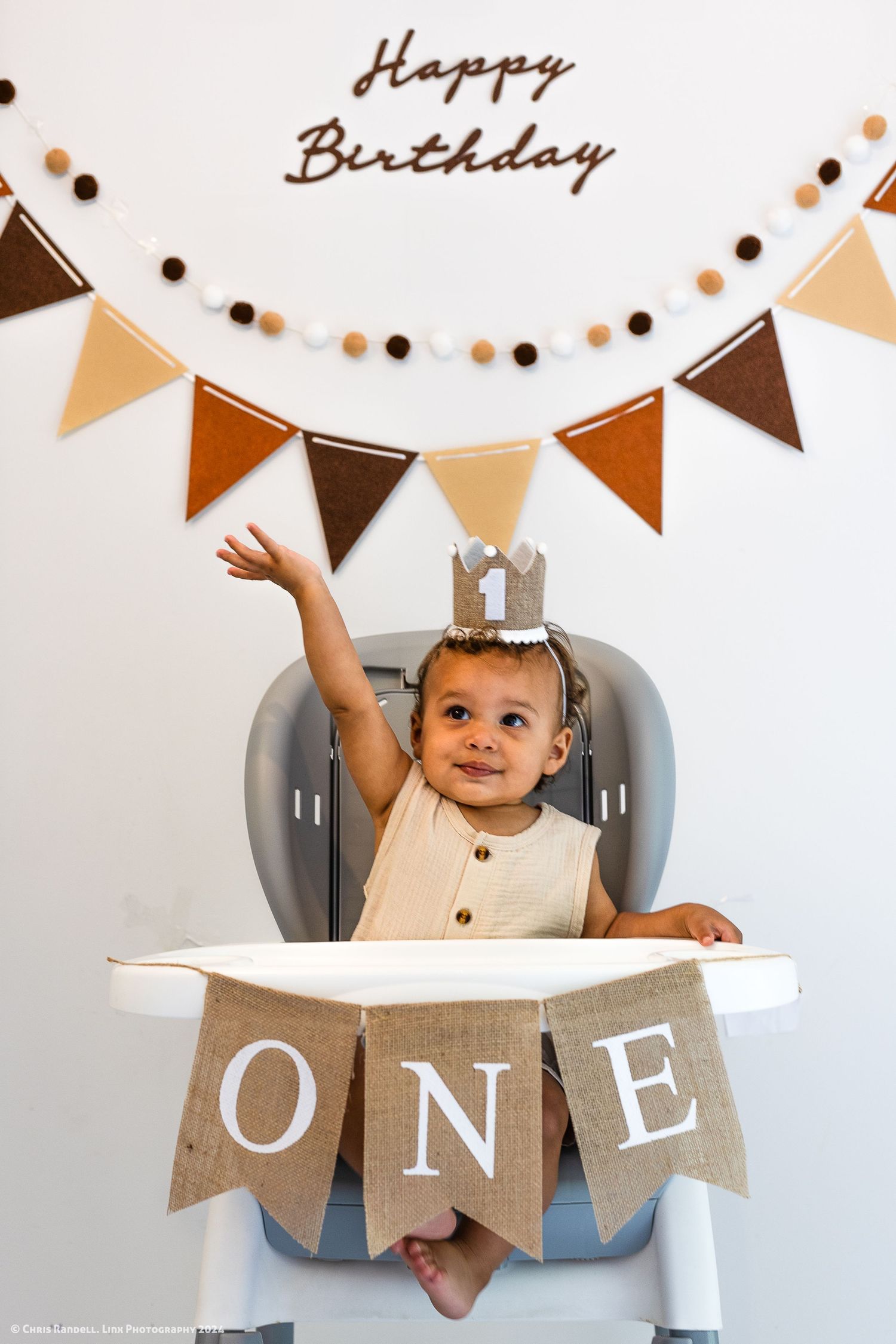Professional Baby or Puppy Cake Smash or Cup Cake Smash by Linx Photography in Dundalk Ontario