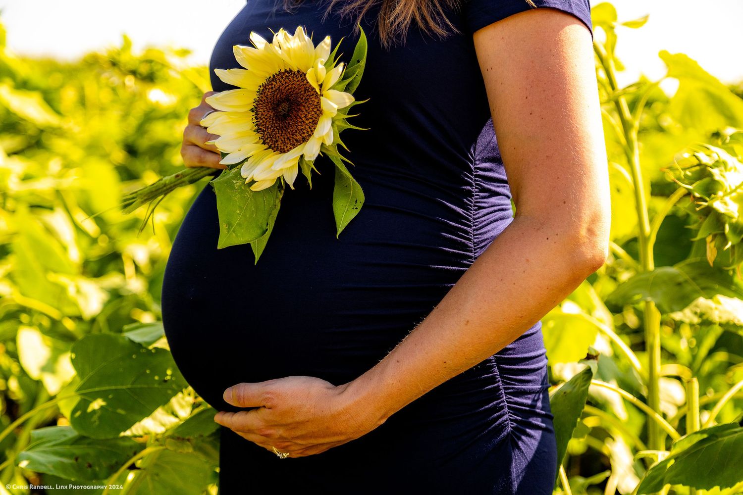 Maternity Photography by Linx Photography in Dundalk Ontario