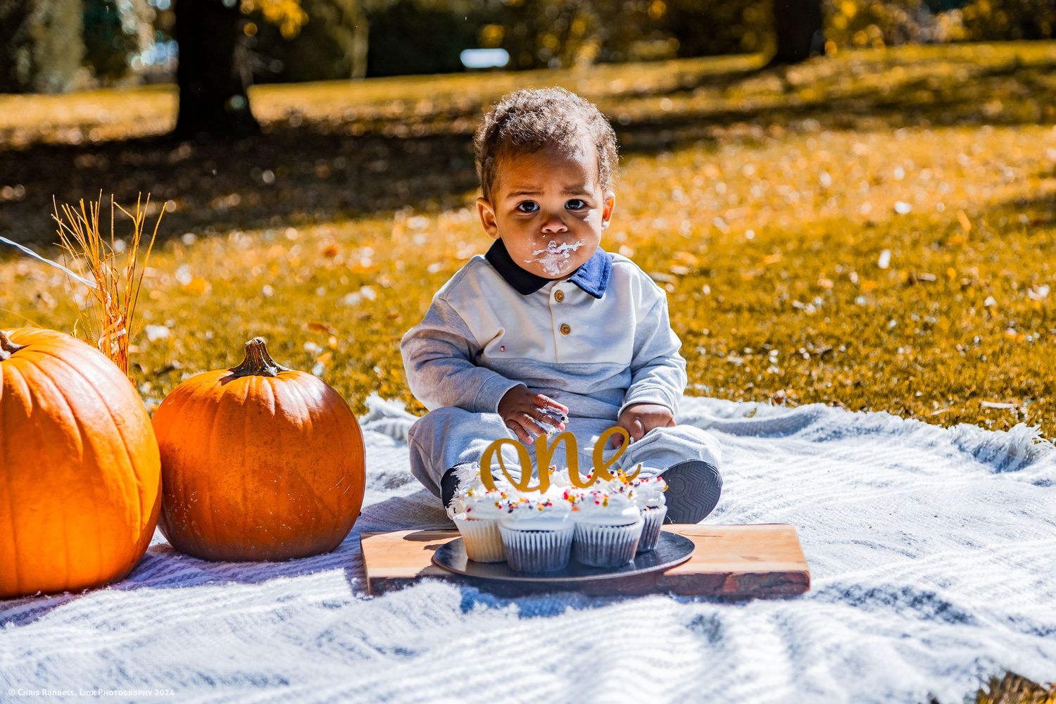 Professional Baby or Puppy Cake Smash or Cup Cake Smash by Linx Photography in Dundalk Ontario