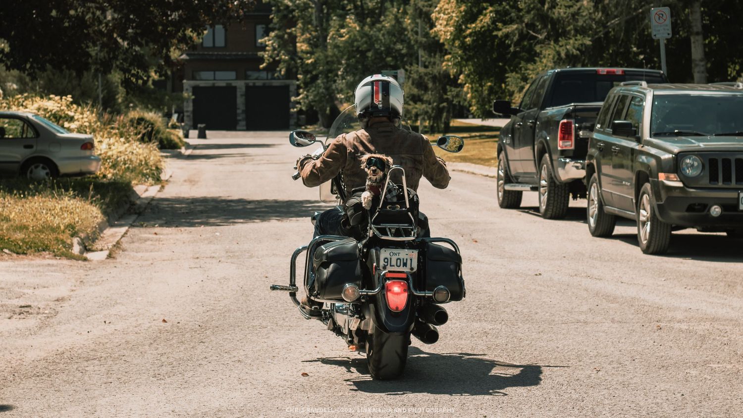 Professional Motorcycle, Sports Car, Muscle Car Portraits by Linx Photography in Dundalk Ontario