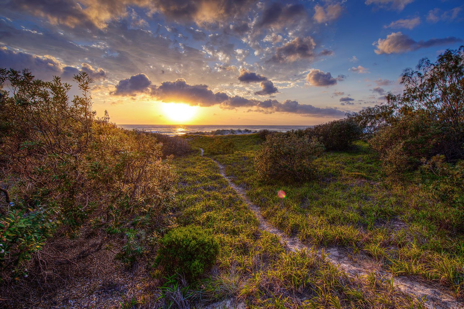 Vibrant sunset over coastal scrubland with dirt path and dramatic cloudy sky panorama.