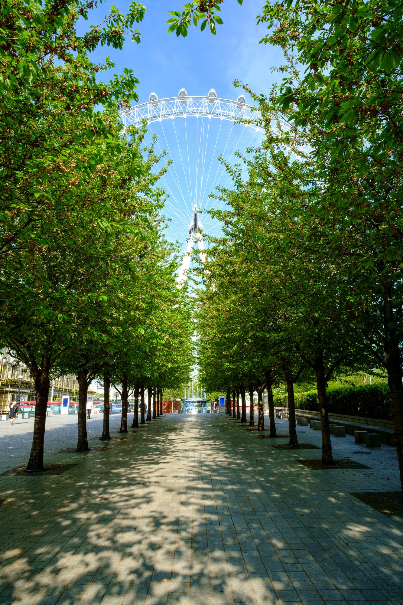 Tree-lined pathway leading to the London Eye Ferris wheel on a sunny day.