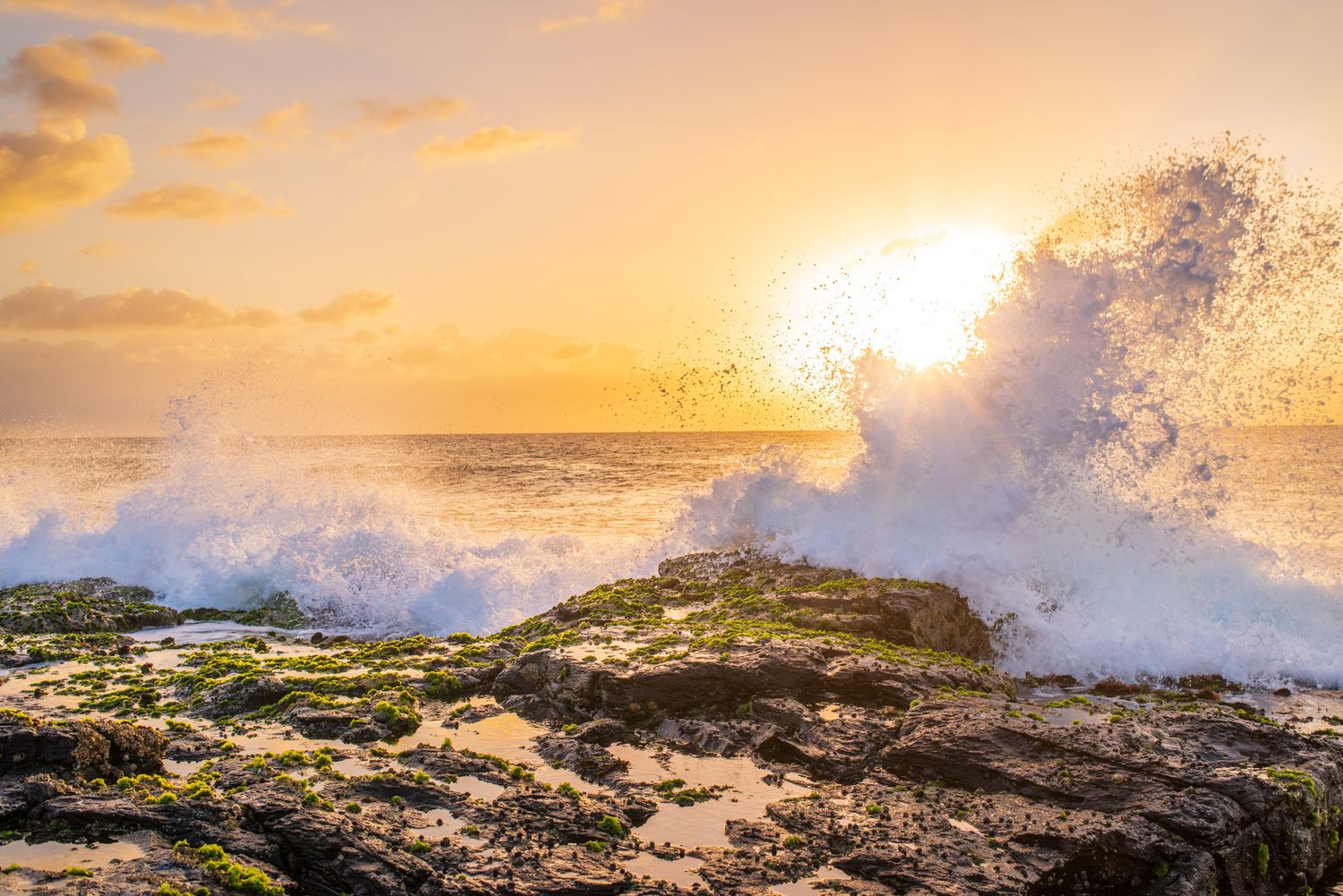 Powerful ocean wave crashing over moss-covered rocks at sunset with golden light and spray.