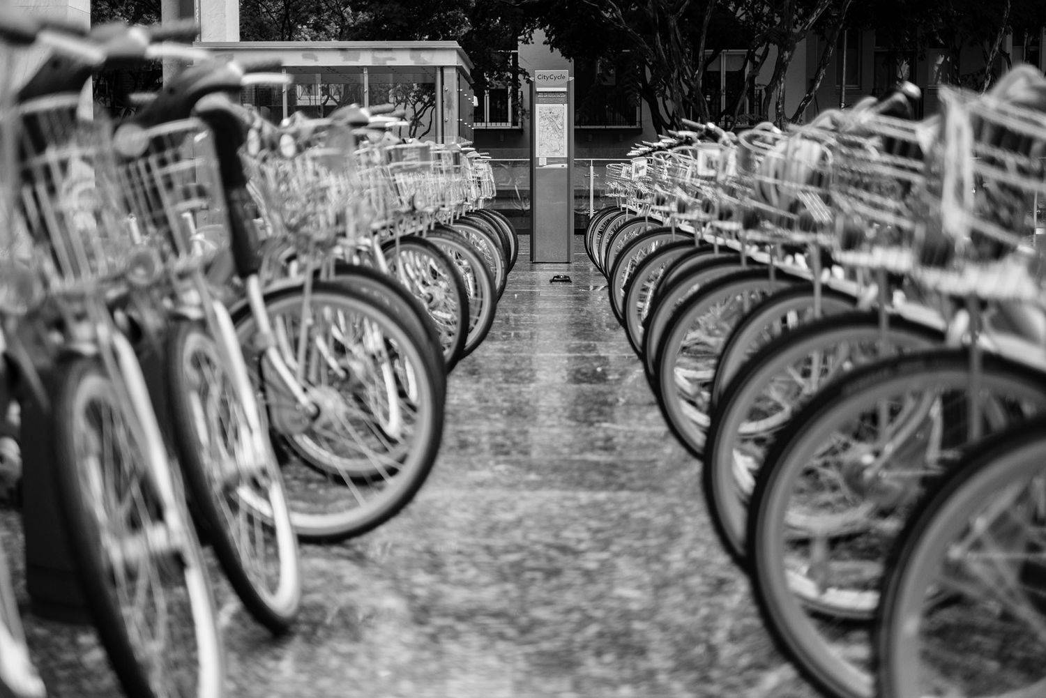 Black and white photo of rows of bicycles parked neatly in a wet outdoor bike rack.