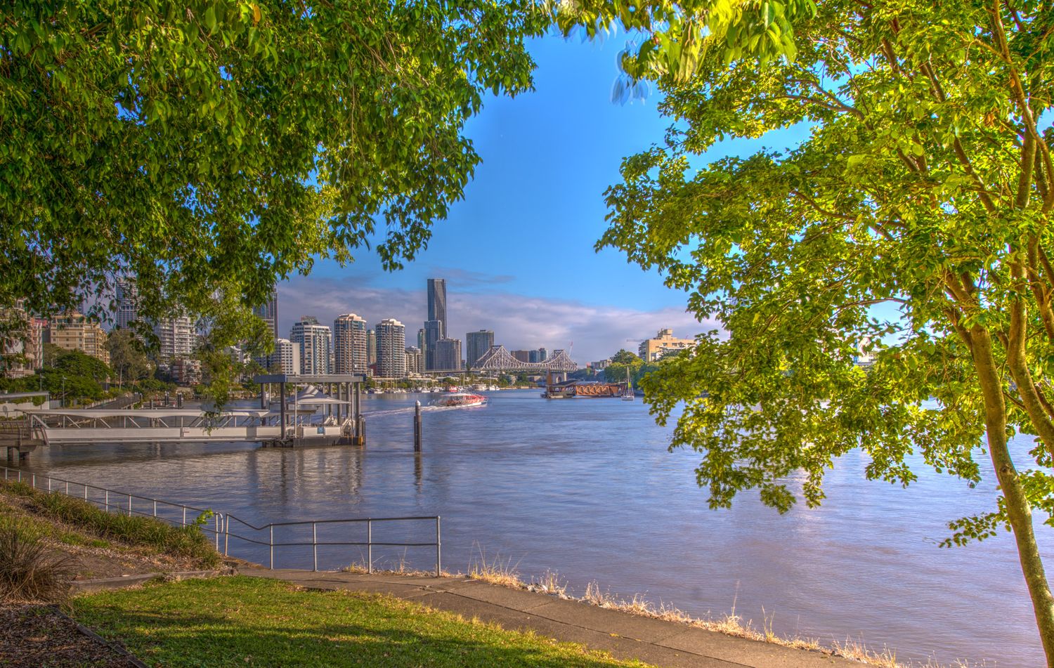 Lush green trees frame a scenic daytime view of Brisbane city skyline along the river.