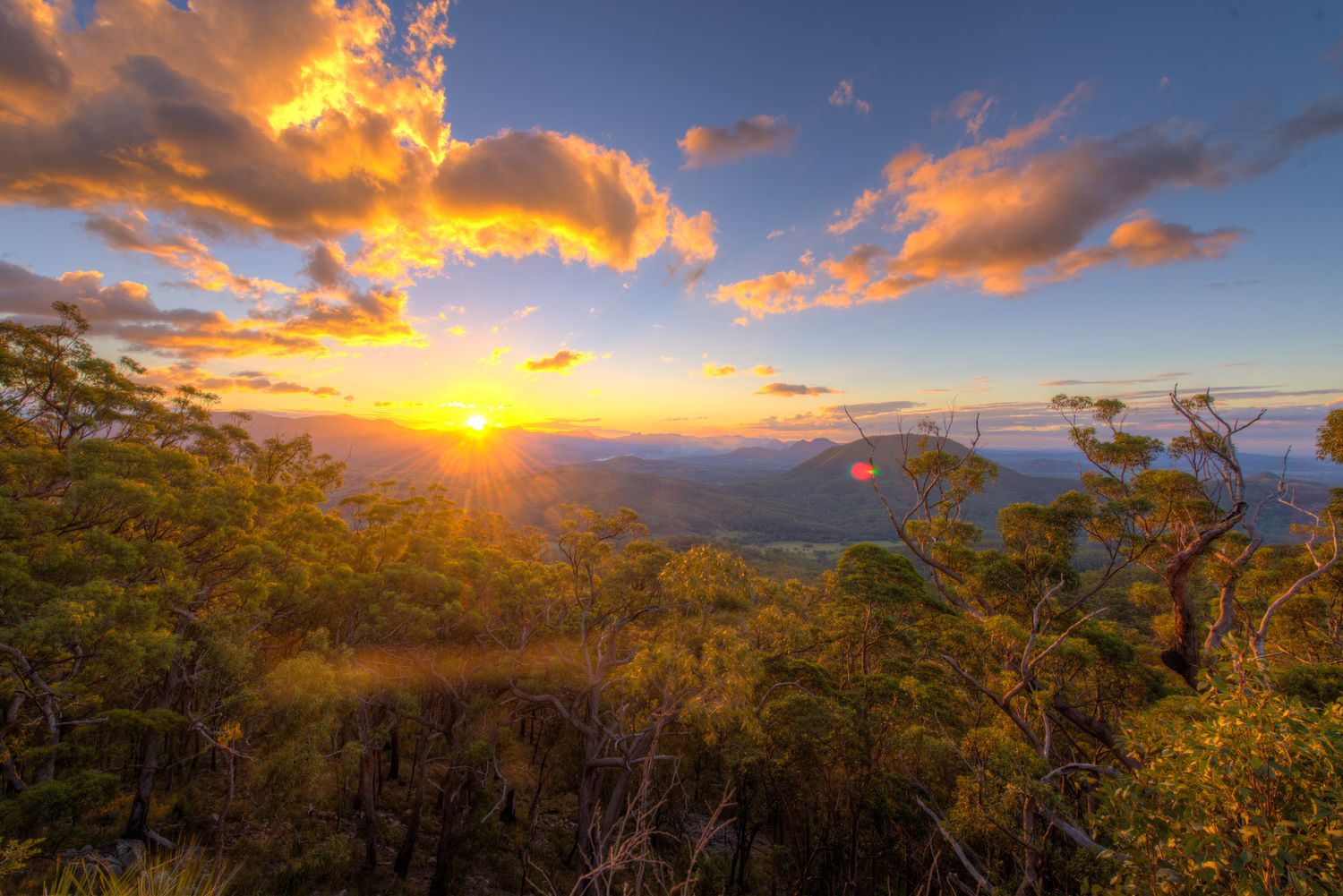 Golden sunset over lush mountain forest with dramatic clouds and sun rays illuminating the valley below.