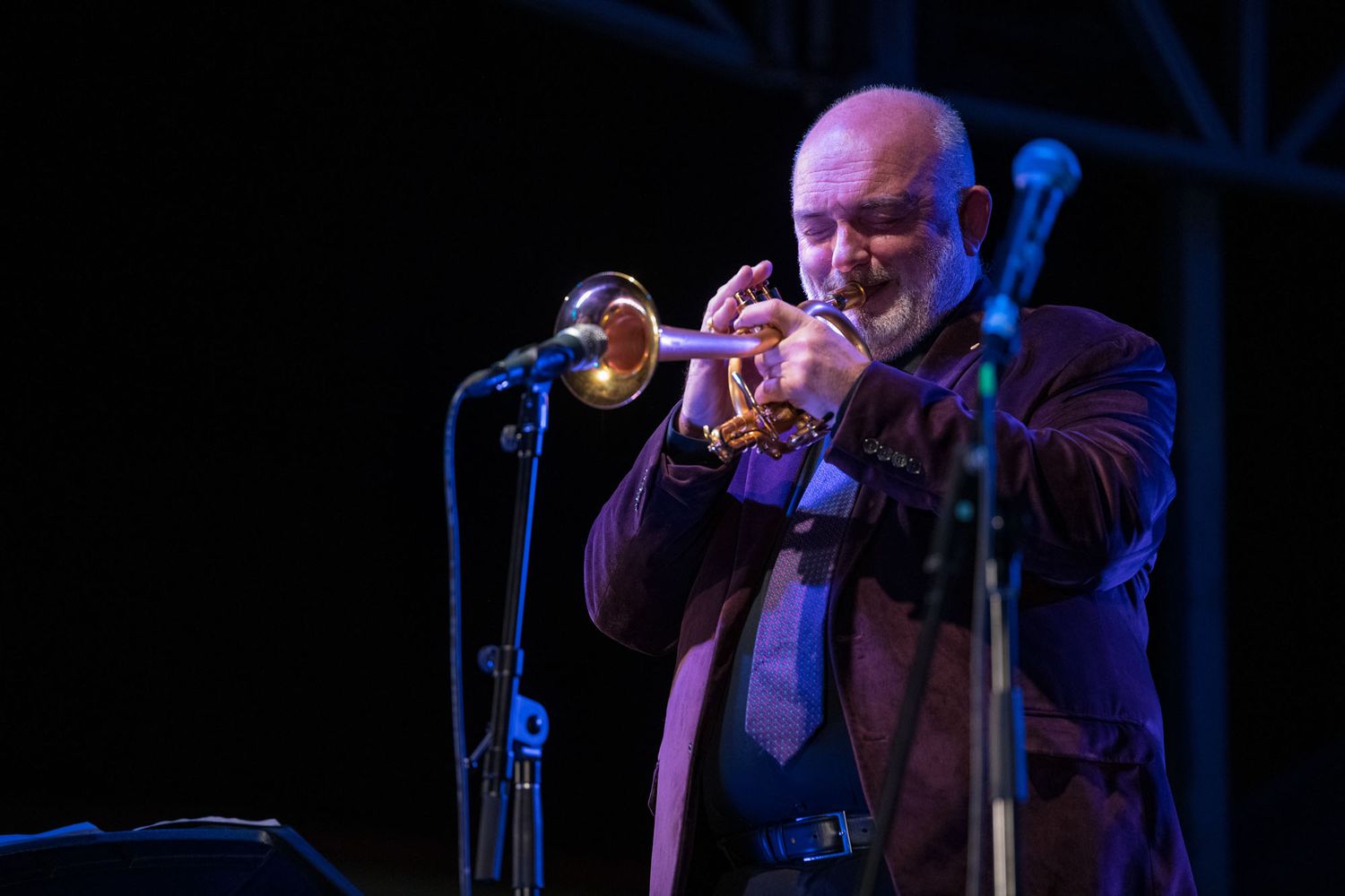Bald male jazz musician playing trumpet on stage under colorful purple and blue stage lights.