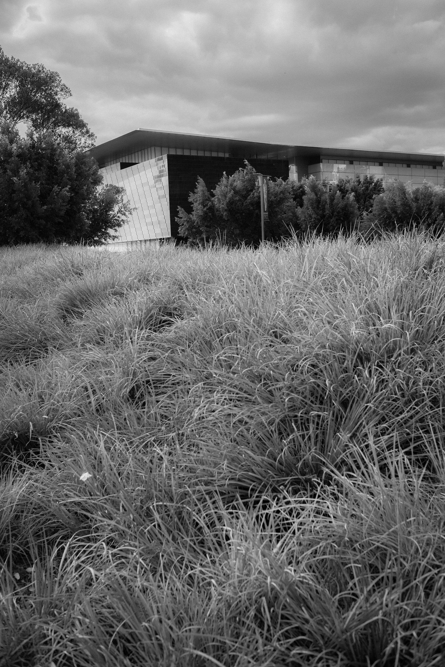 Black and white photo of a modern building surrounded by tall wild grass under a cloudy sky.